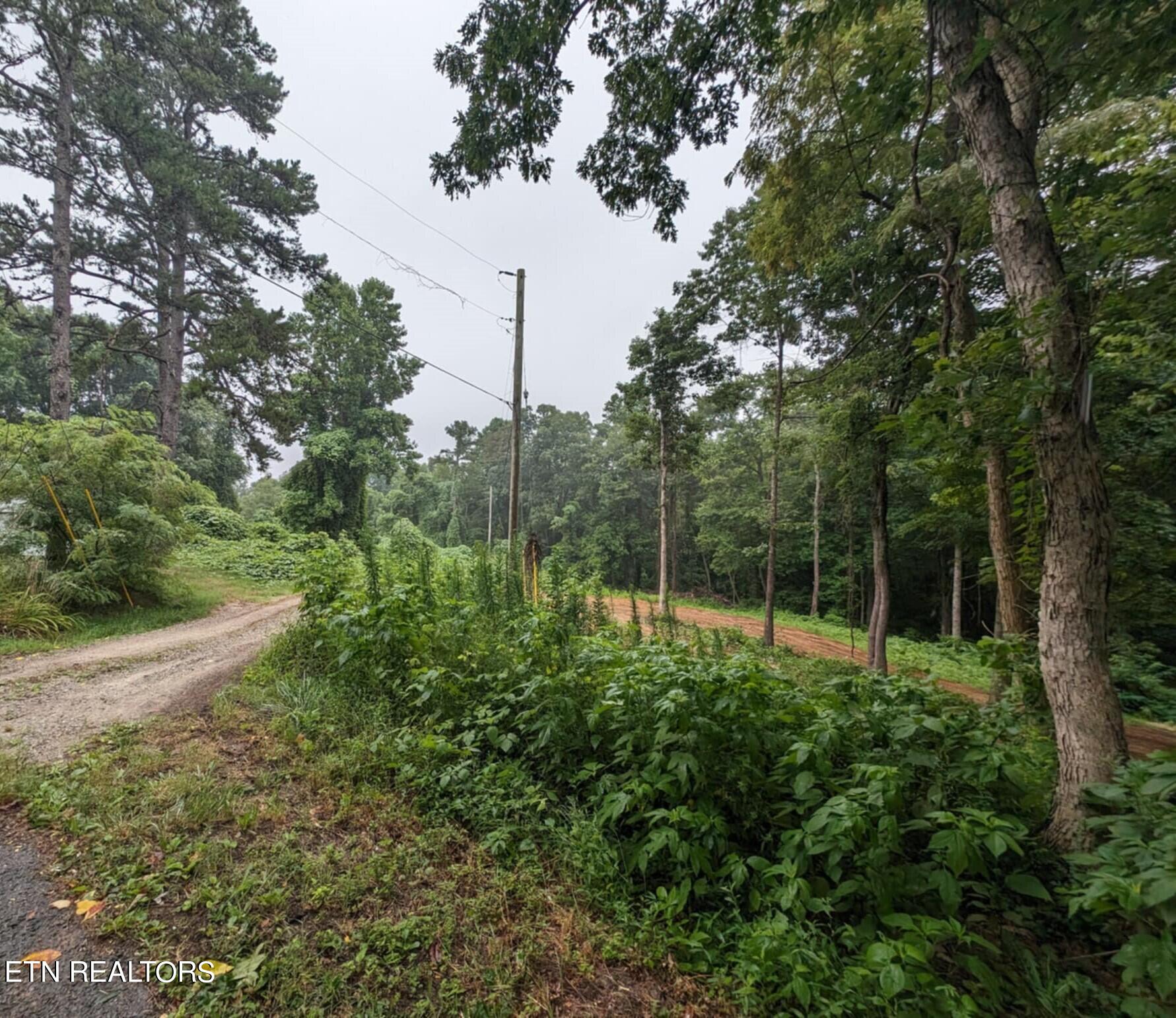 248 N Norris Street Jamestown TN 38556