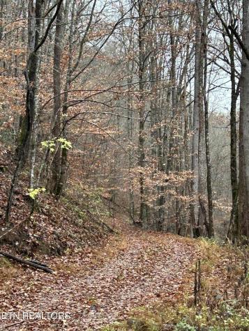 Highway 61 E Maynardville TN 37807