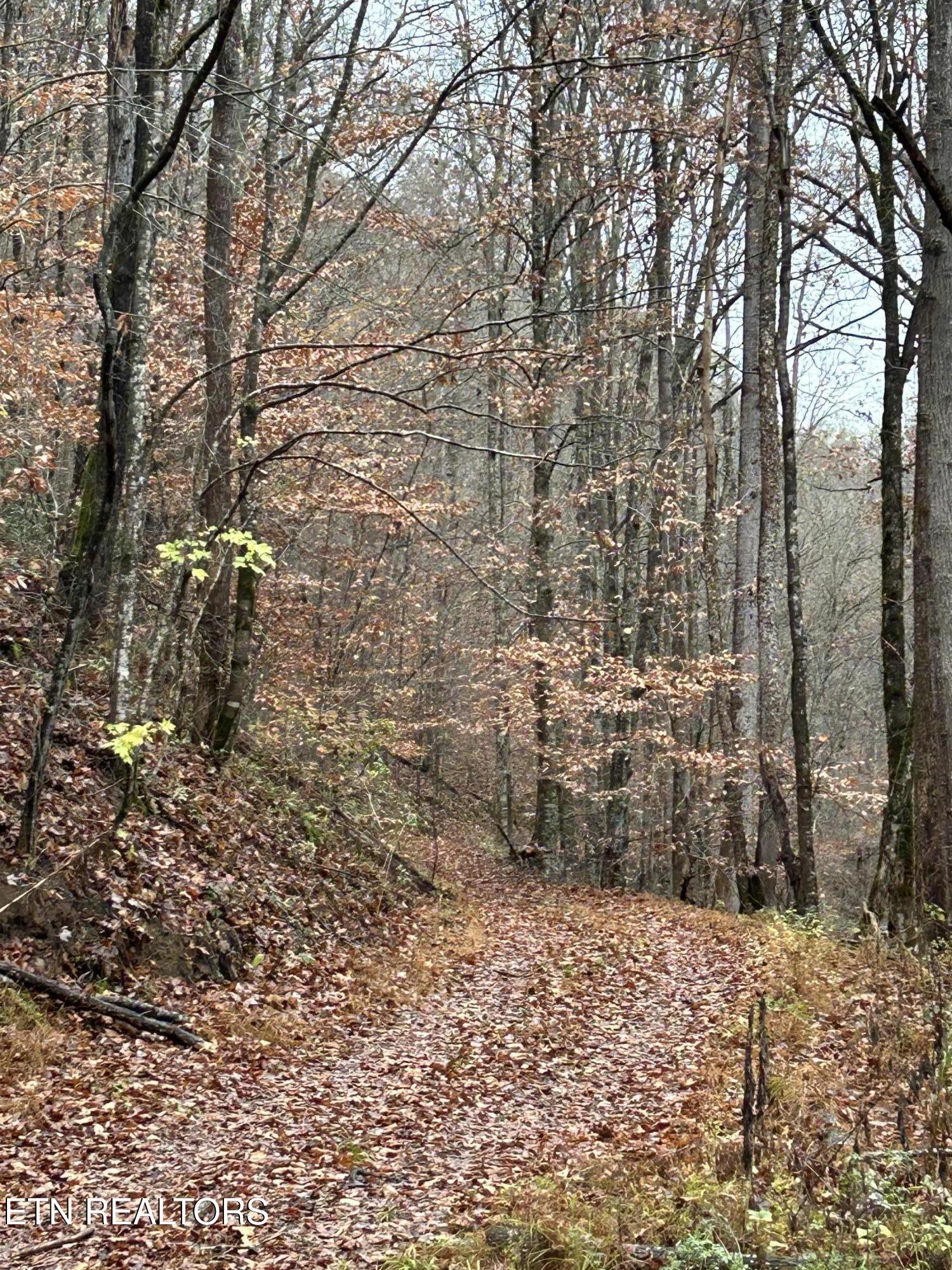 Highway 61 E Maynardville TN 37807