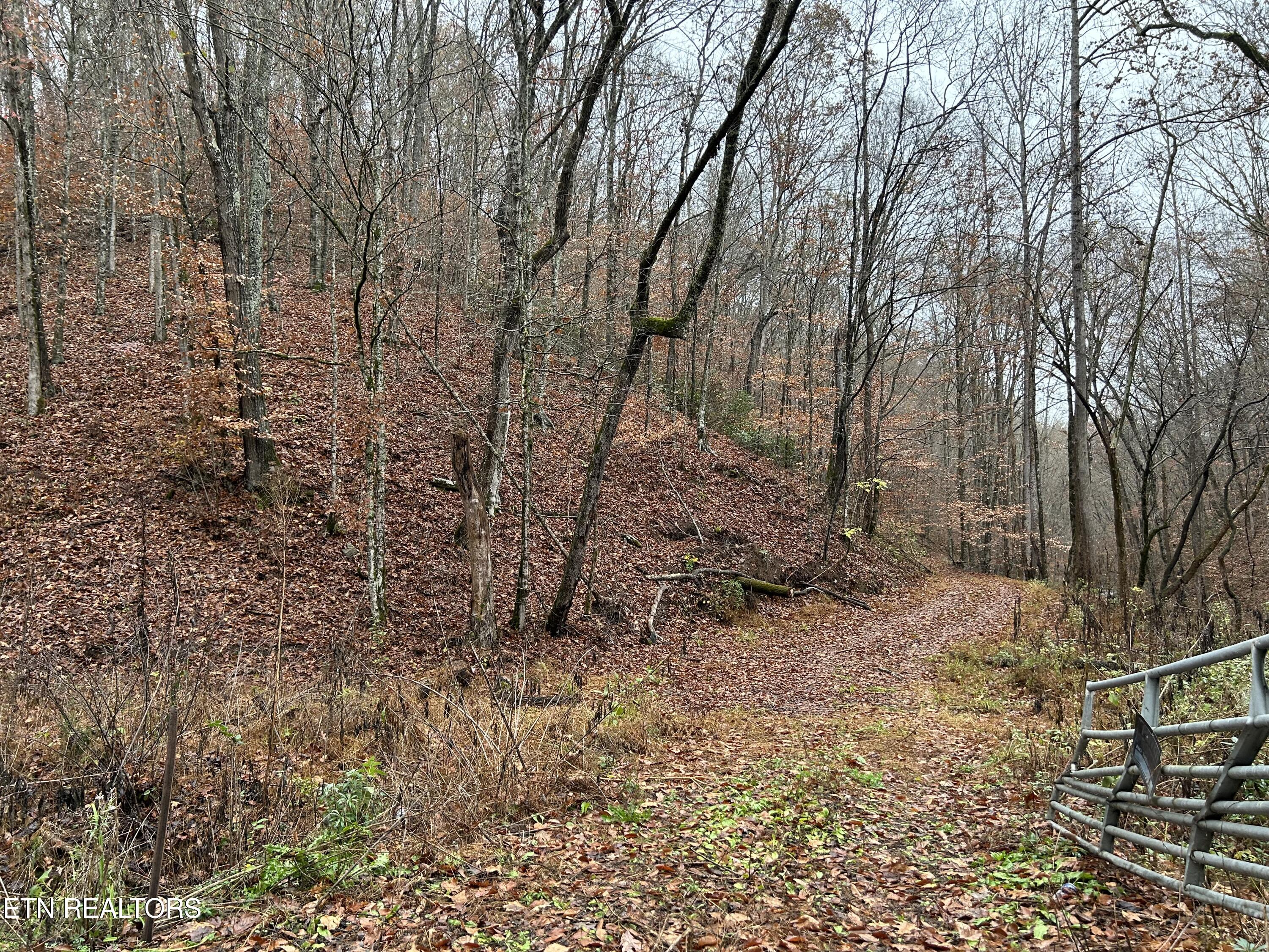 Highway 61 E Maynardville TN 37807
