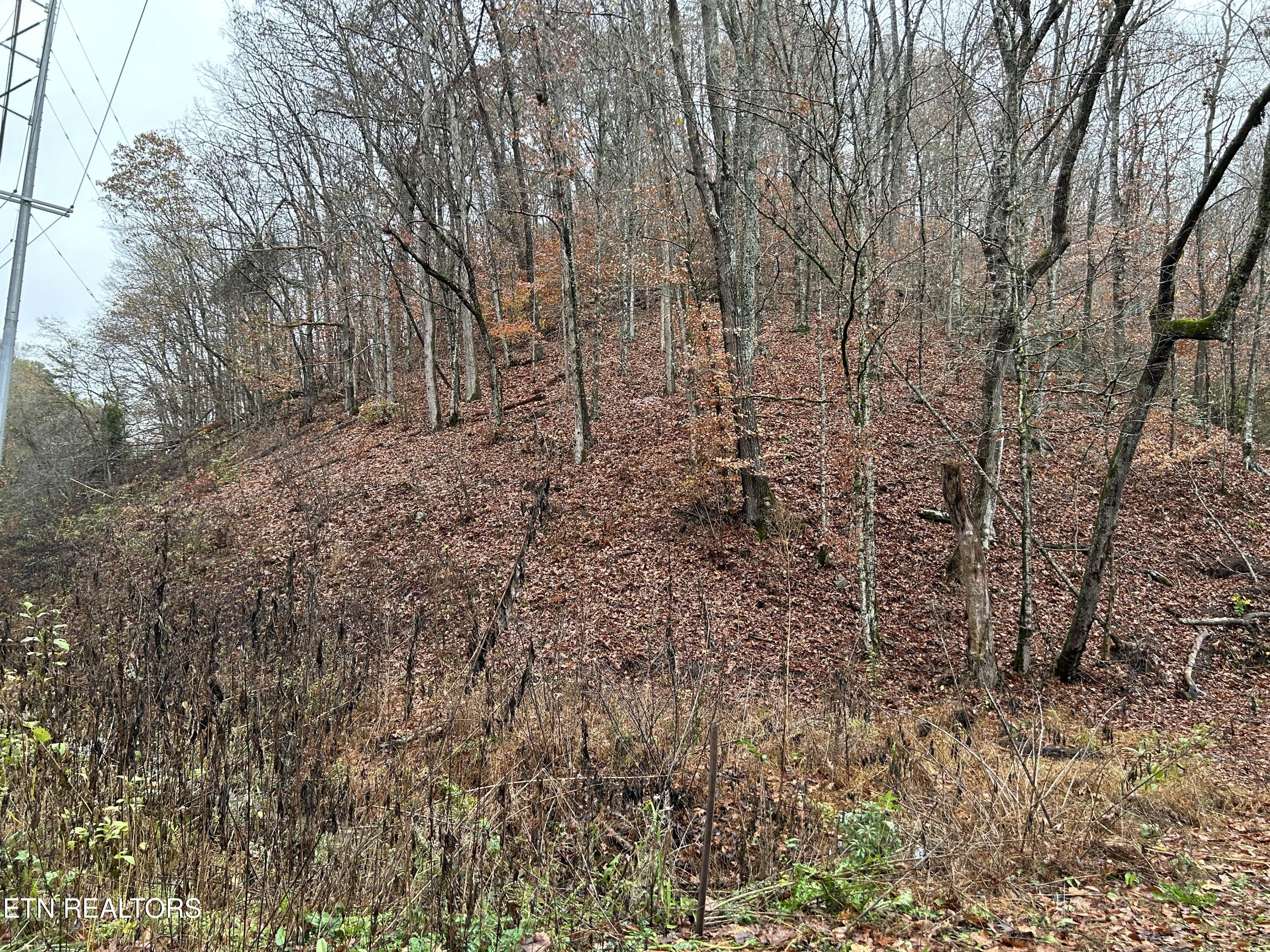 Highway 61 E Maynardville TN 37807