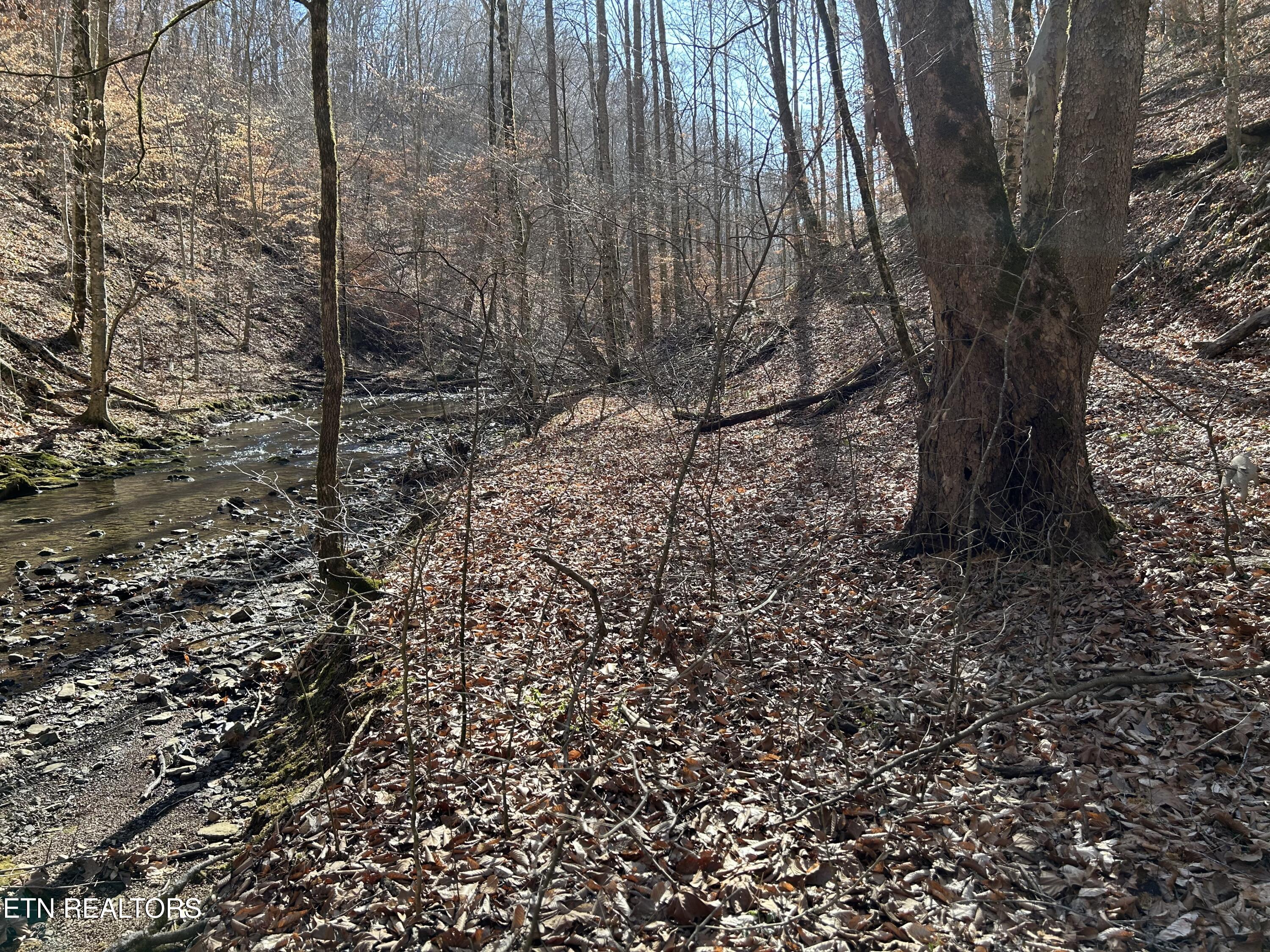 Highway 61 E Maynardville TN 37807