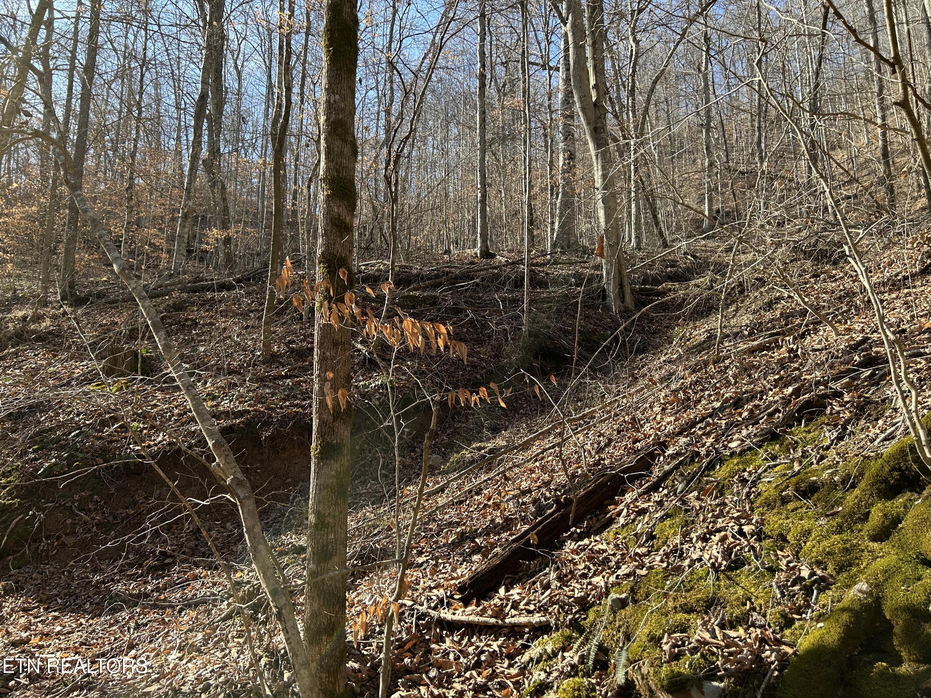 Highway 61 E Maynardville TN 37807