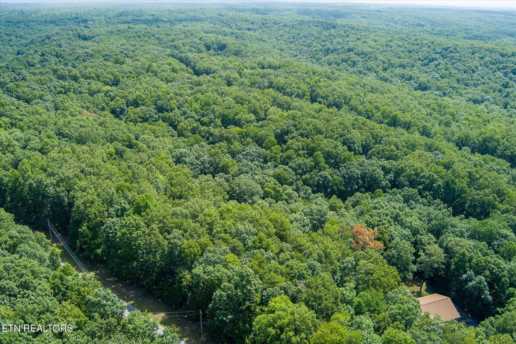 Creek Drive Monterey TN 38574
