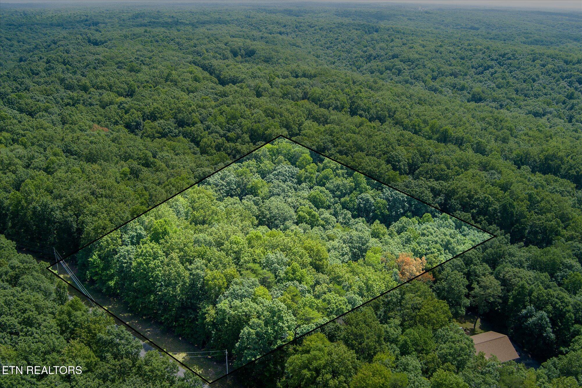 Creek Drive Monterey TN 38574