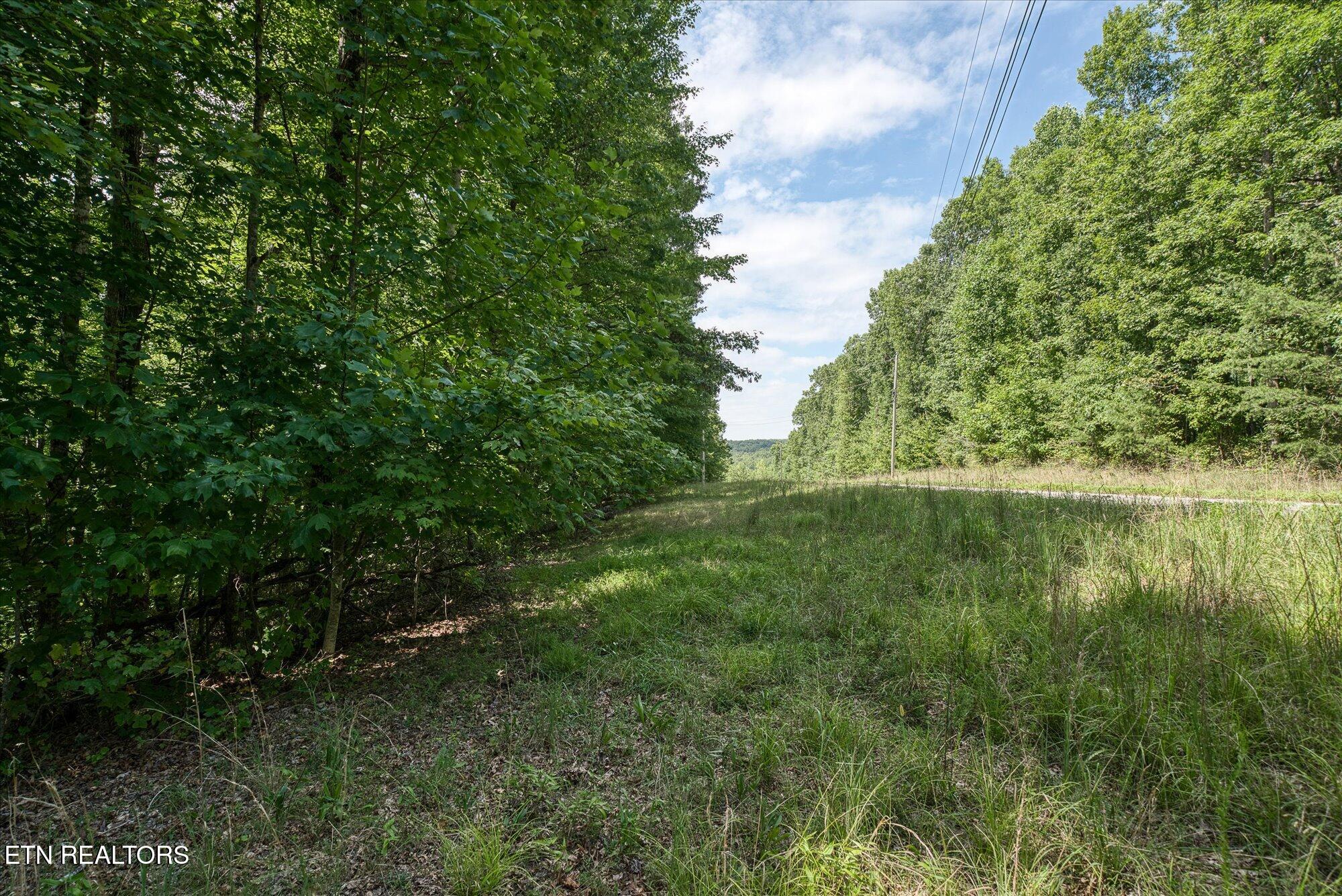 Creek Drive Monterey TN 38574