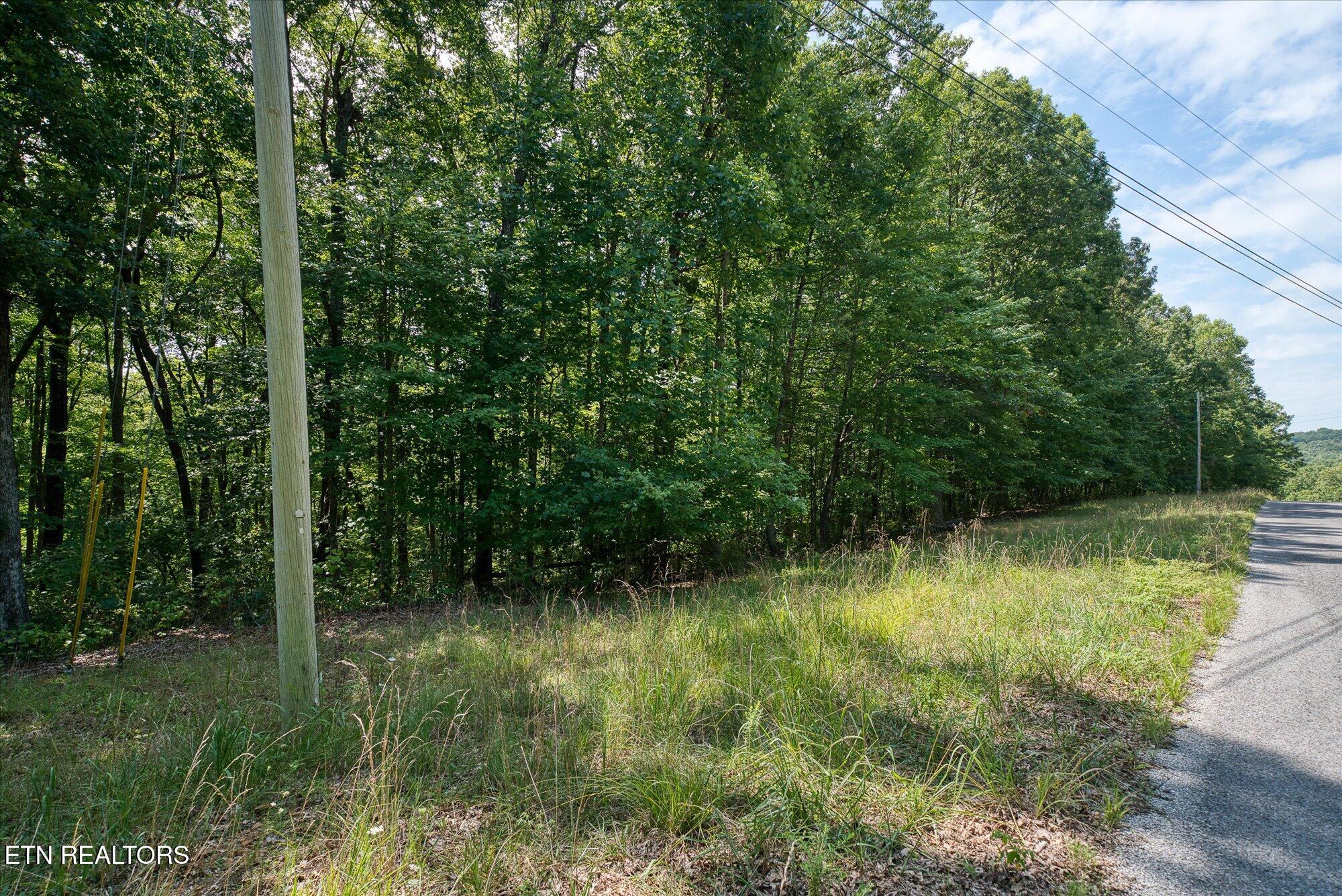 Creek Drive Monterey TN 38574