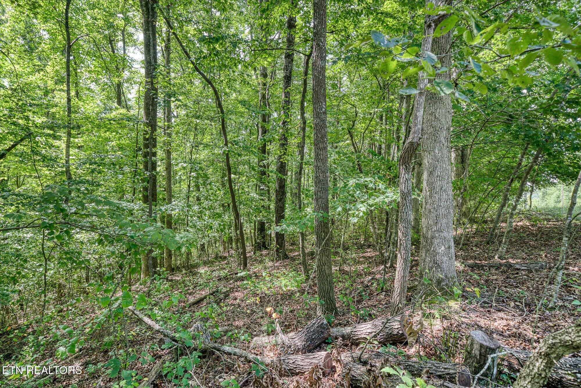Creek Drive Monterey TN 38574