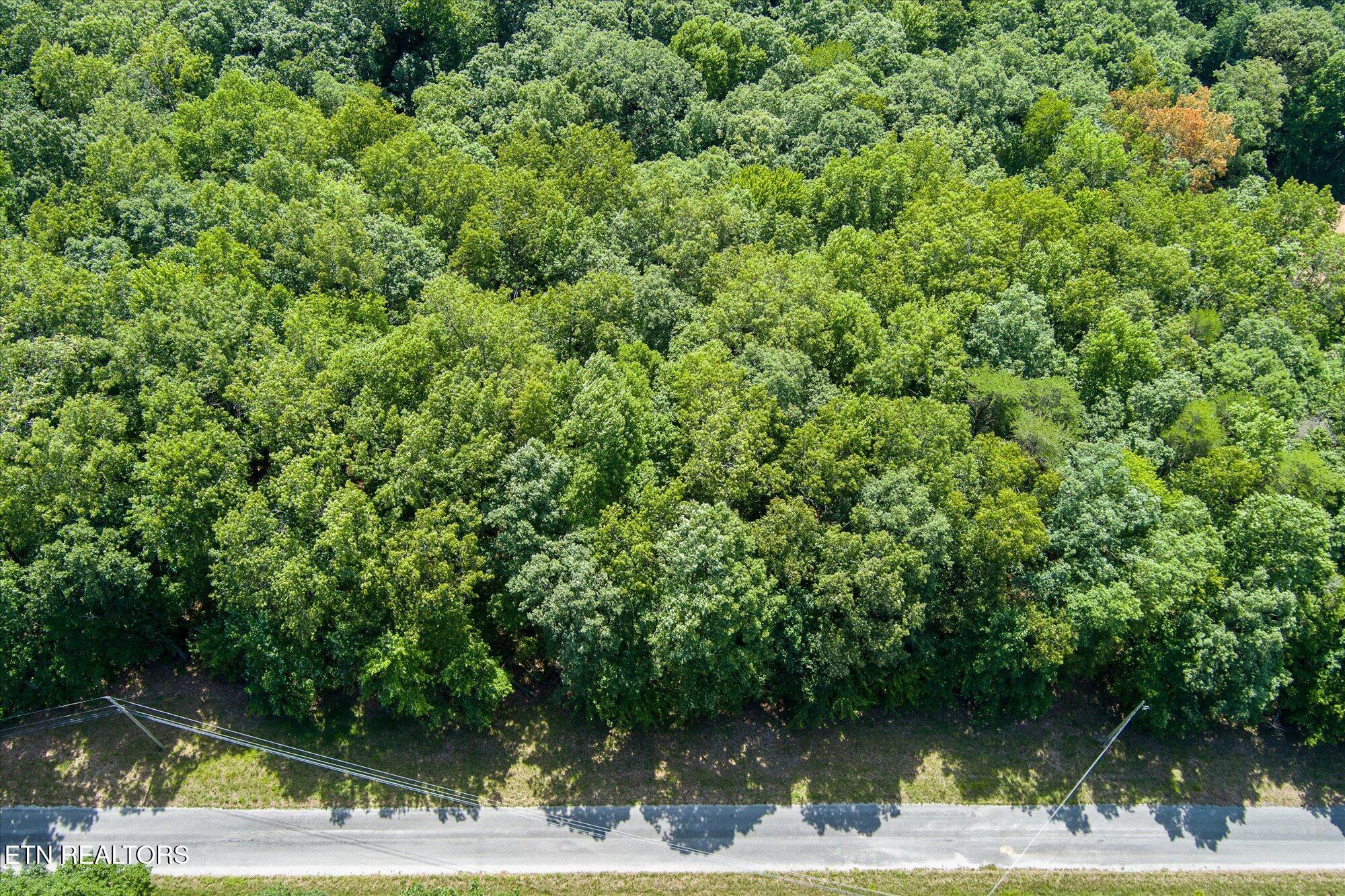Creek Drive Monterey TN 38574