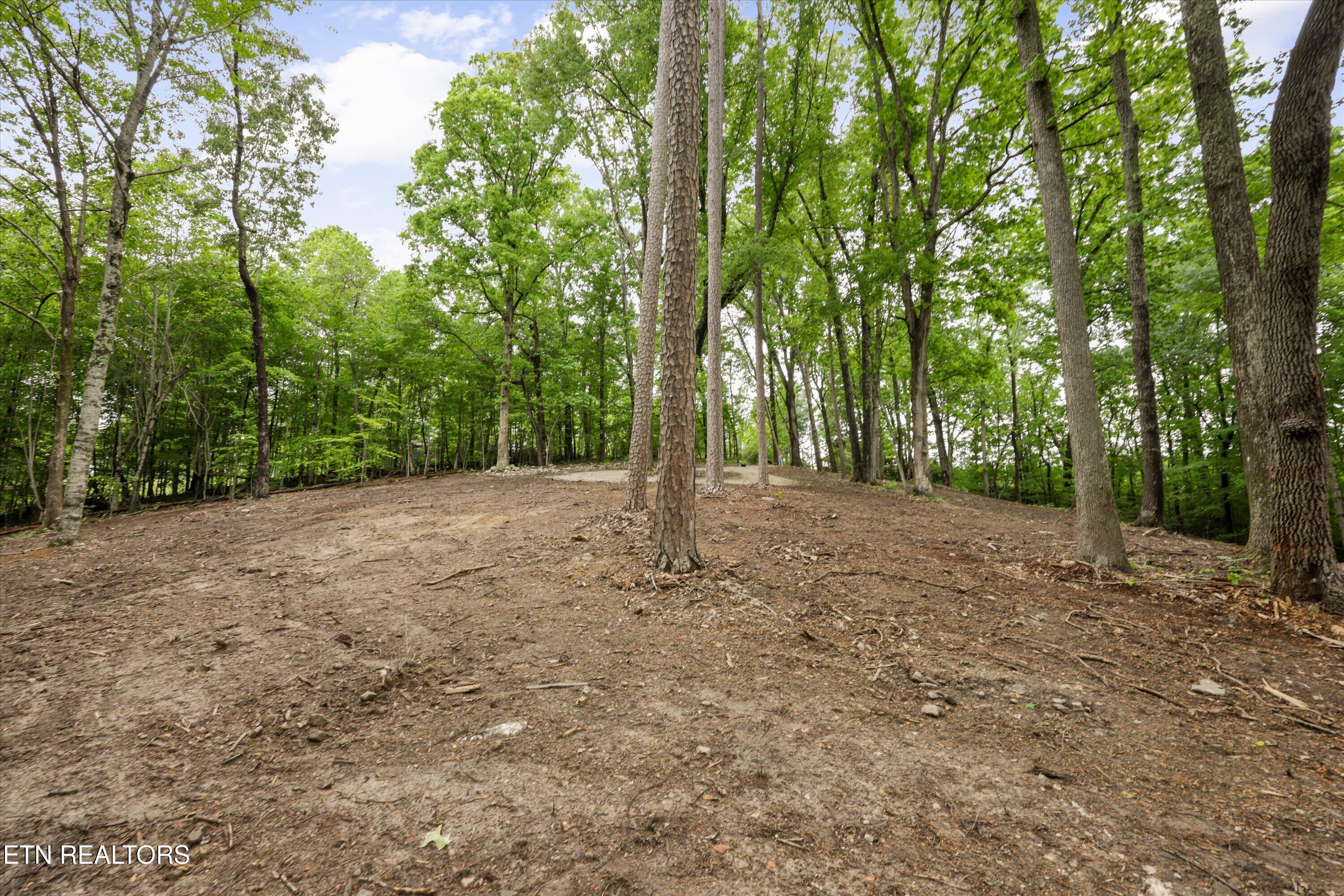 Pleasant View Loop Clinton TN 37716