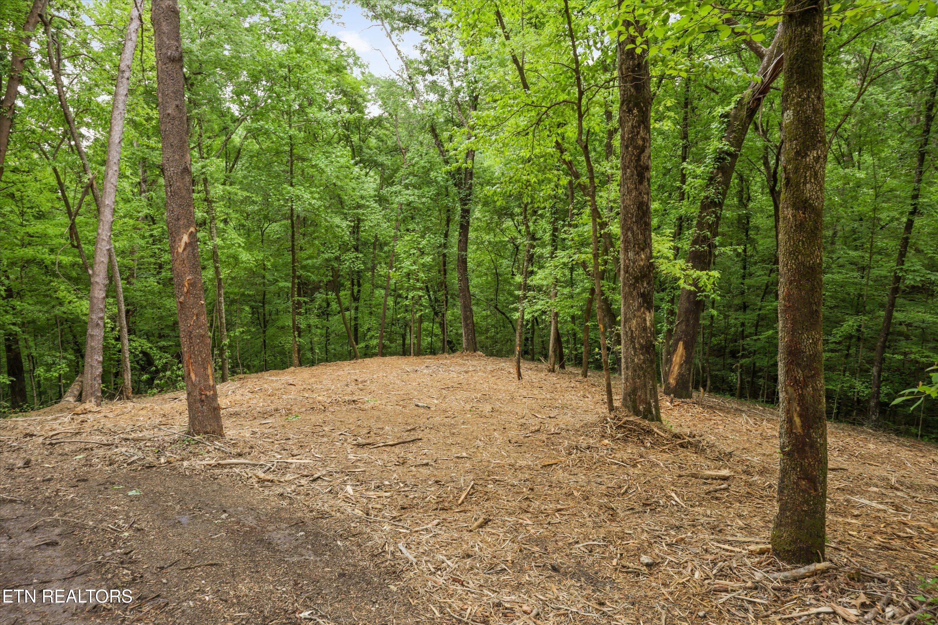Pleasant View Loop Clinton TN 37716