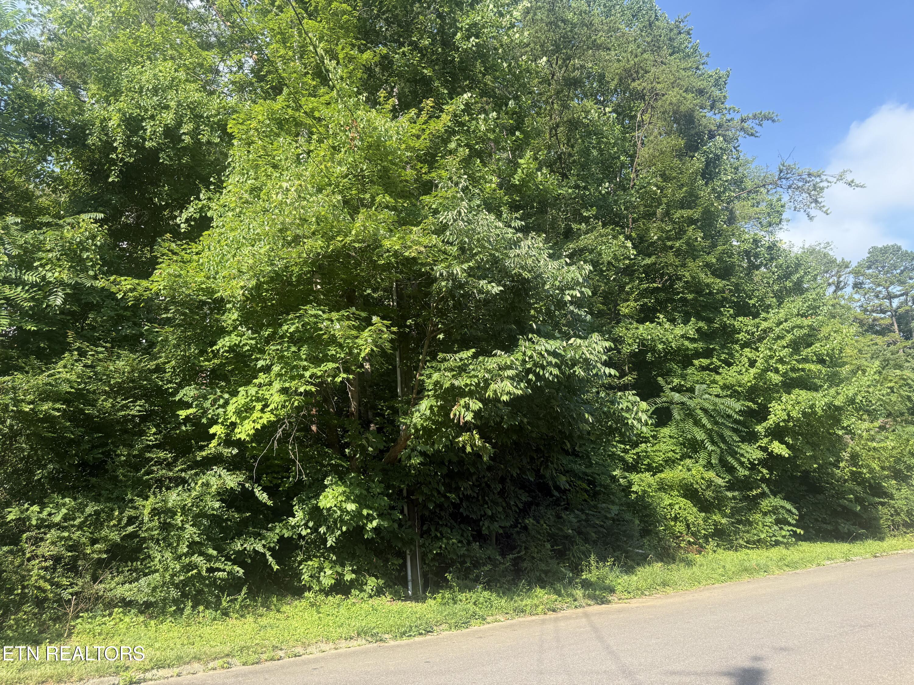 7021 Shalidar Drive Knoxville TN 37921