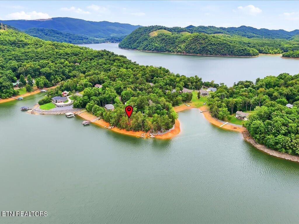 1716 Taskigi Court Mooresburg TN 37811