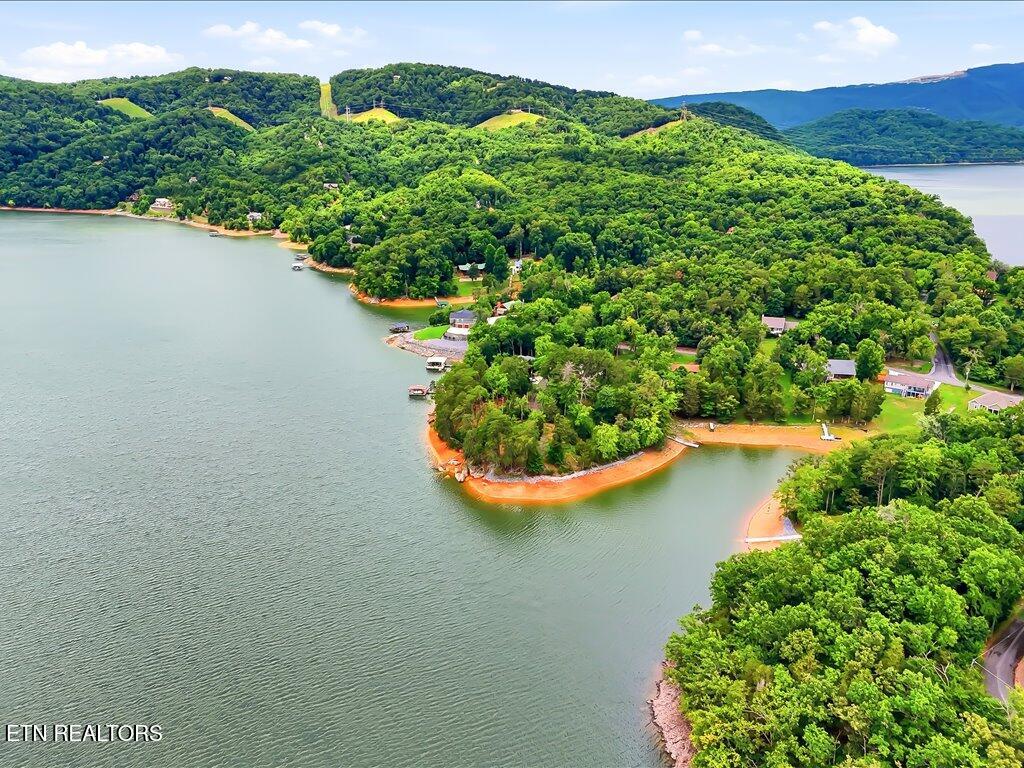 1716 Taskigi Court Mooresburg TN 37811