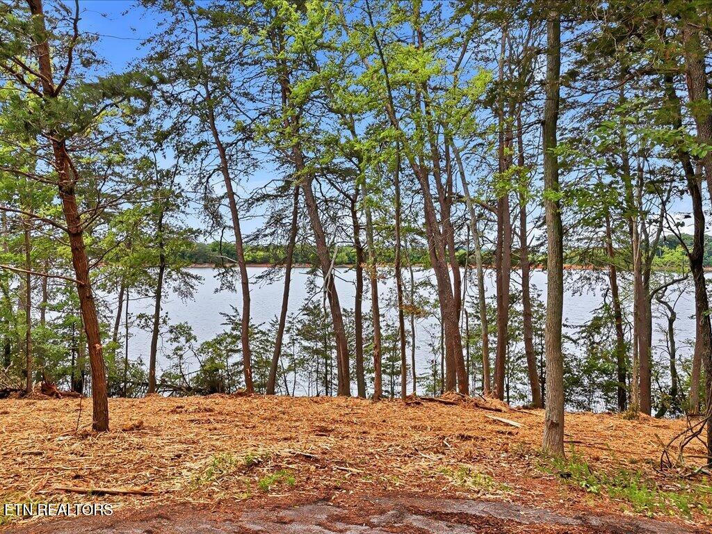 1716 Taskigi Court Mooresburg TN 37811