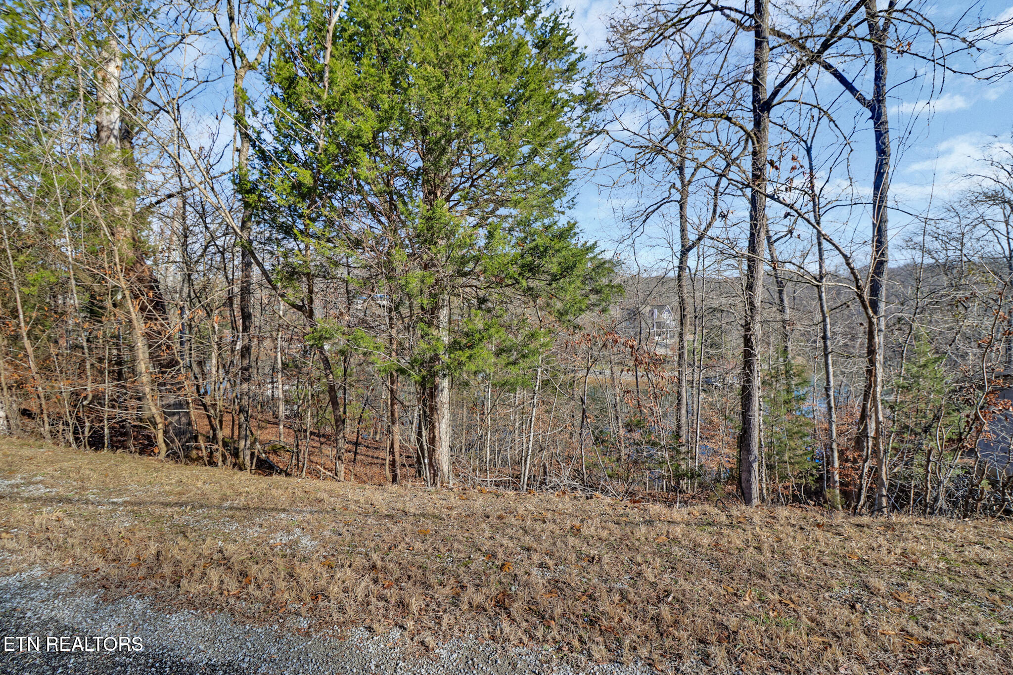 Red Cloud Lane Ten Mile TN 37880