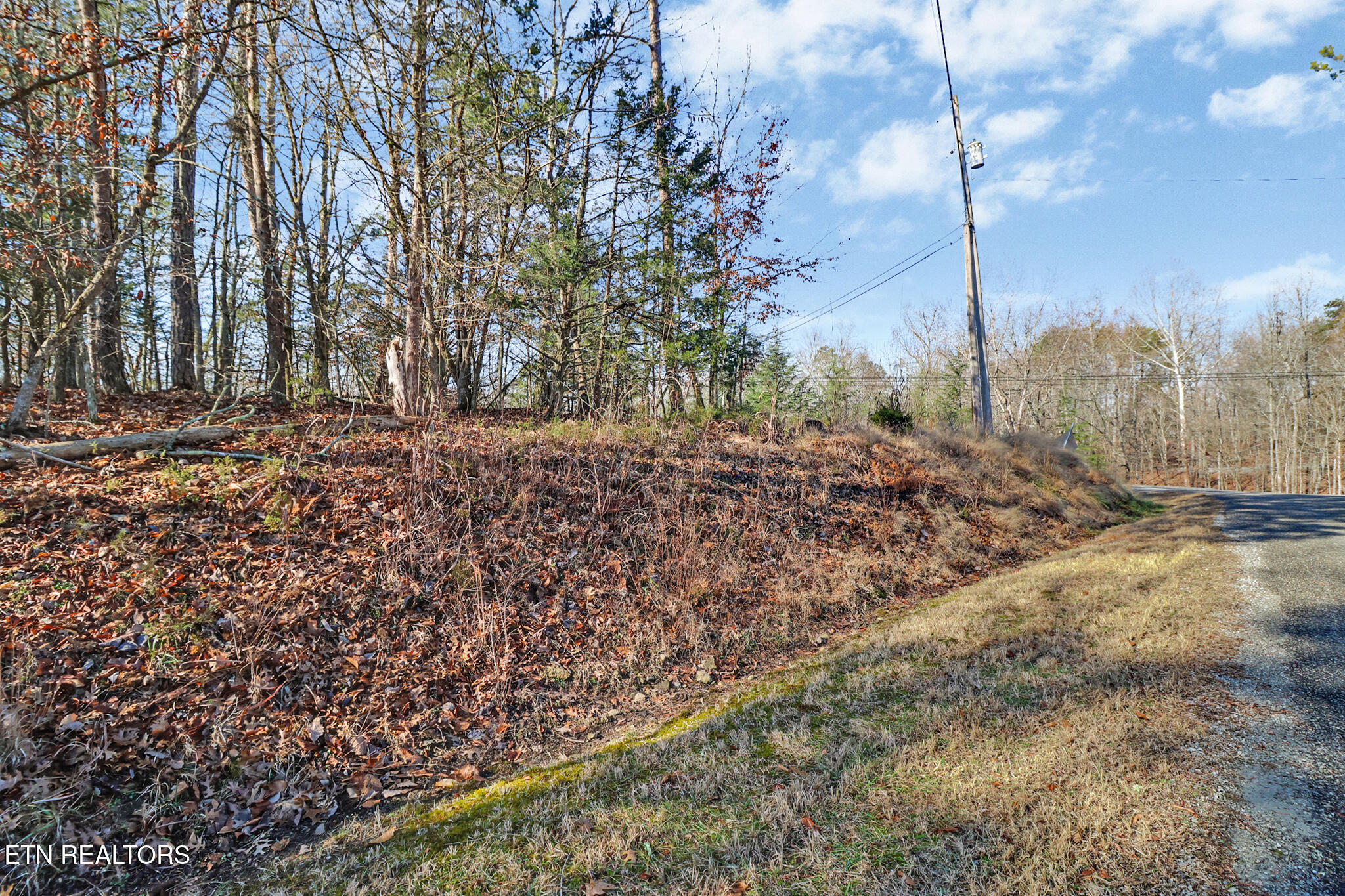 Red Cloud Lane Ten Mile TN 37880