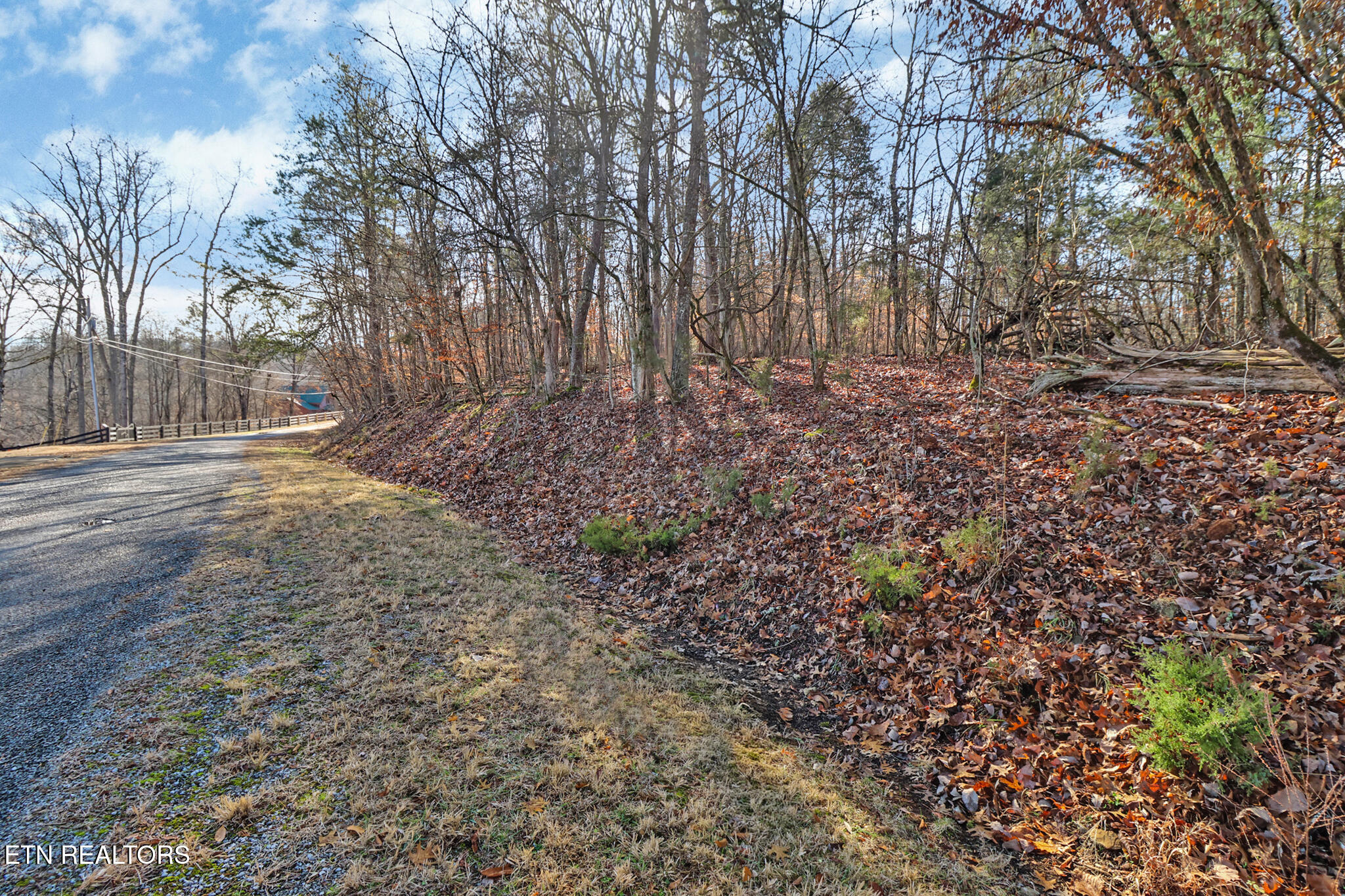 Red Cloud Lane Ten Mile TN 37880