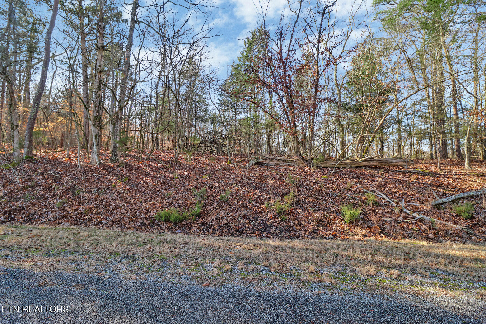 Red Cloud Lane Ten Mile TN 37880