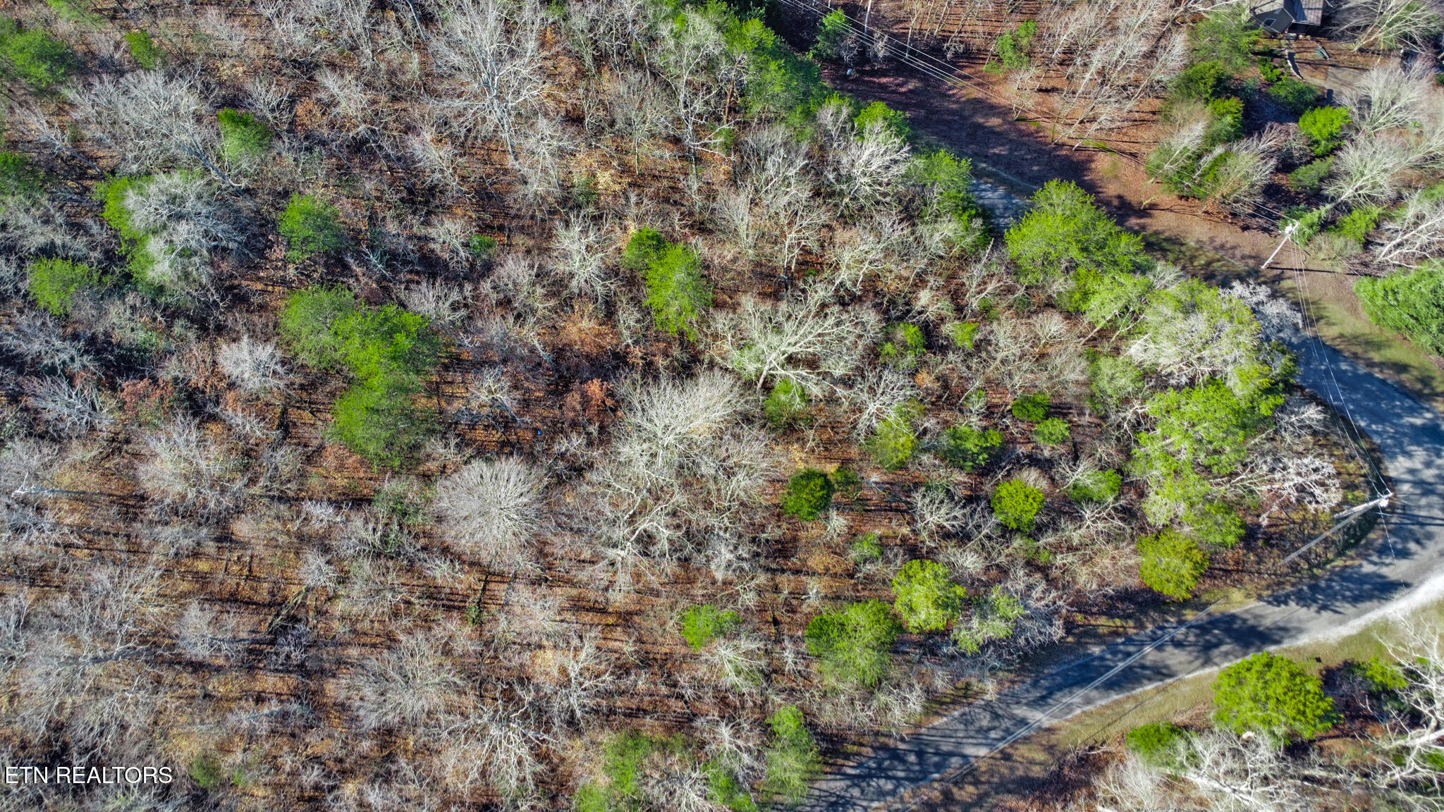 Red Cloud Lane Ten Mile TN 37880