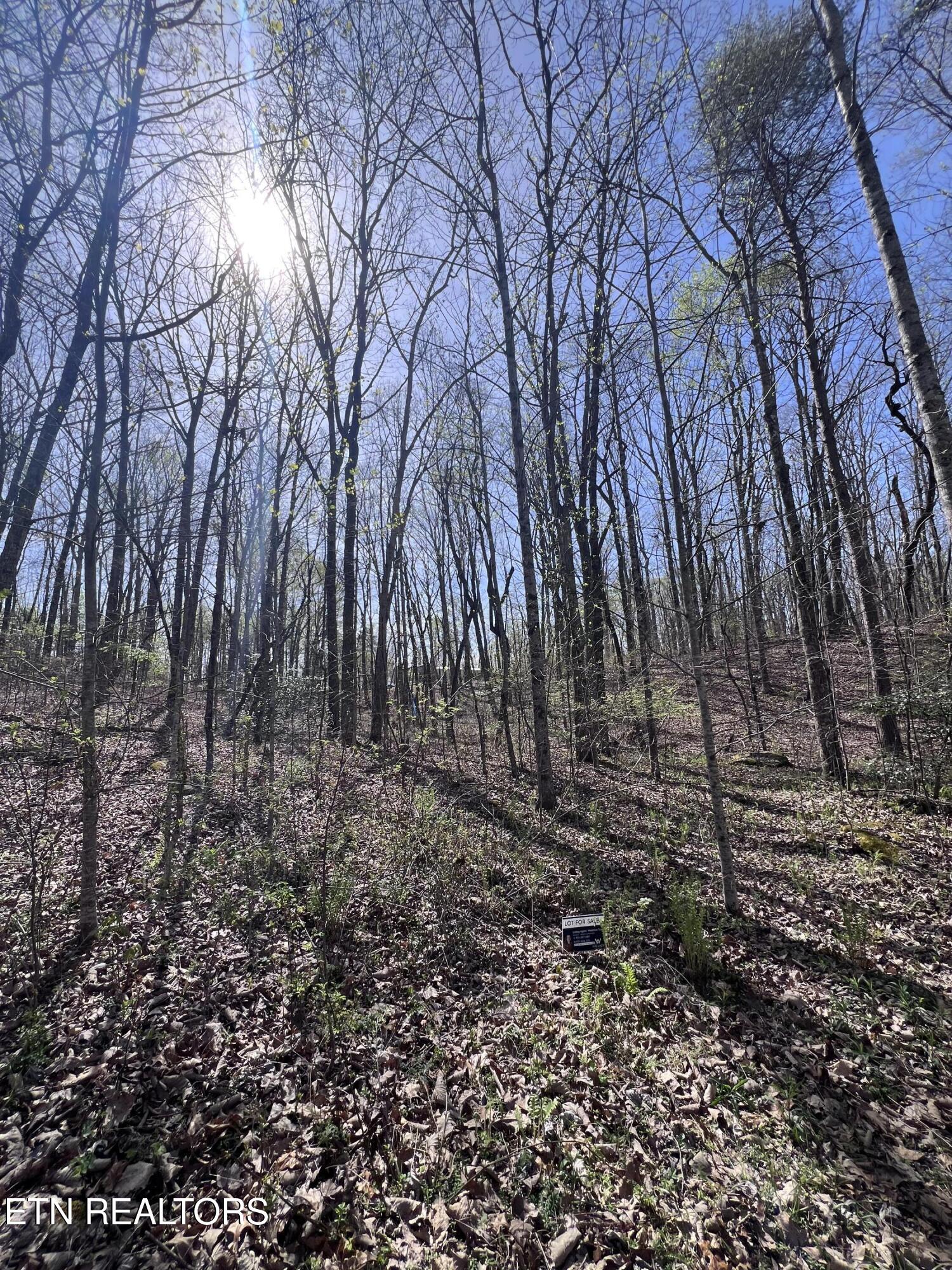 1.31 Ac Retreat Circle Crossville TN 38572