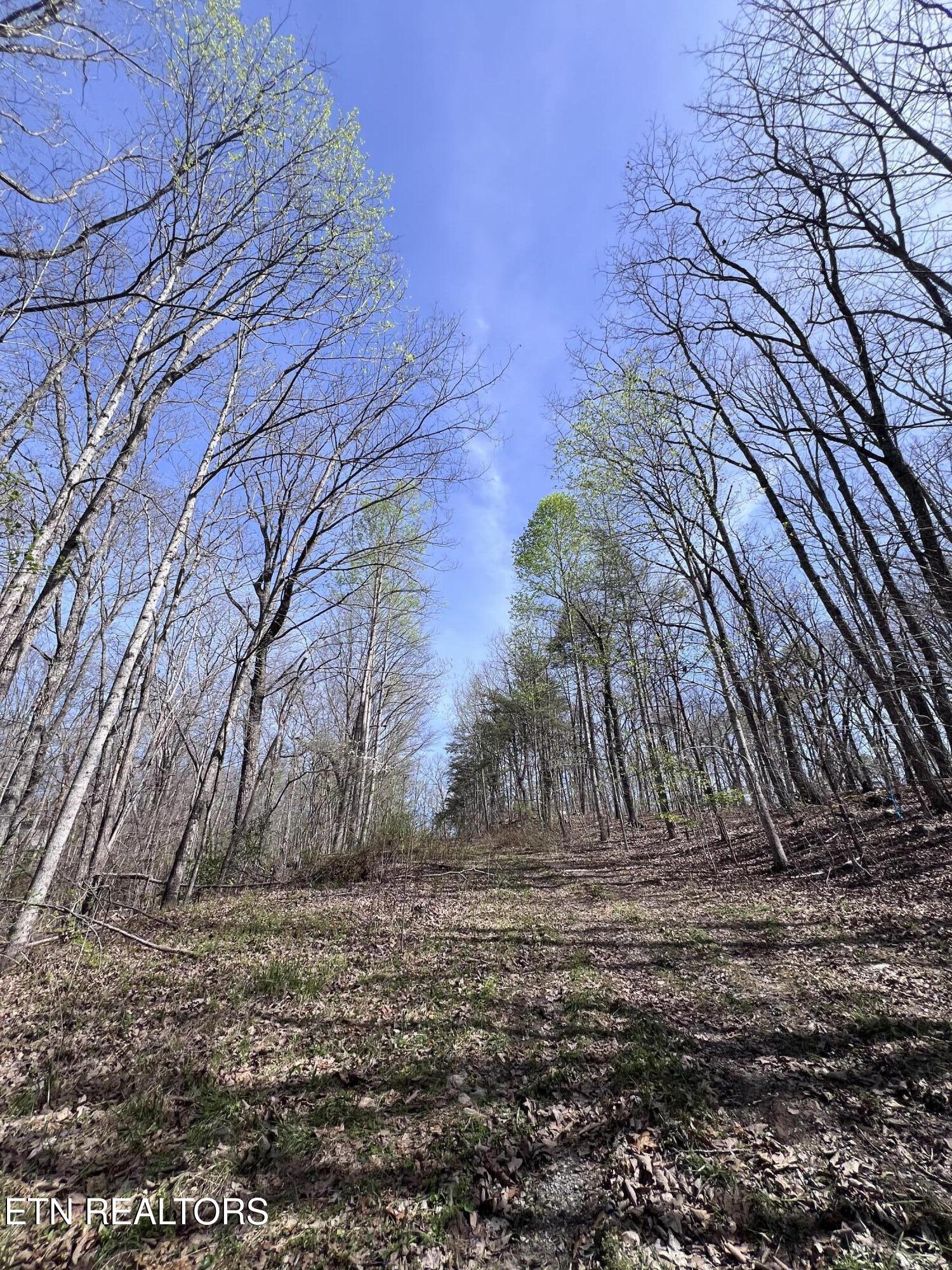1.31 Ac Retreat Circle Crossville TN 38572