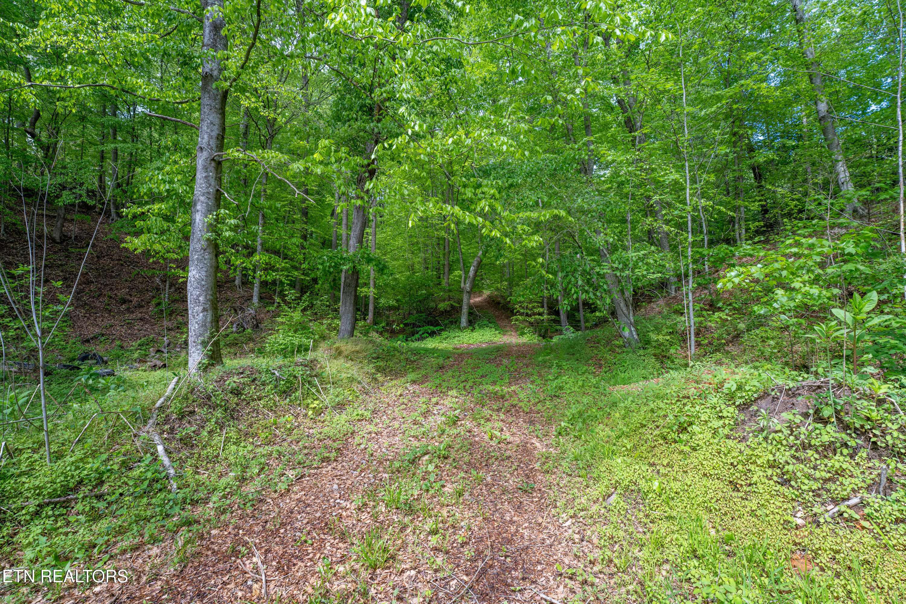 0 W Bullrun Valley Drive Heiskell TN 37754