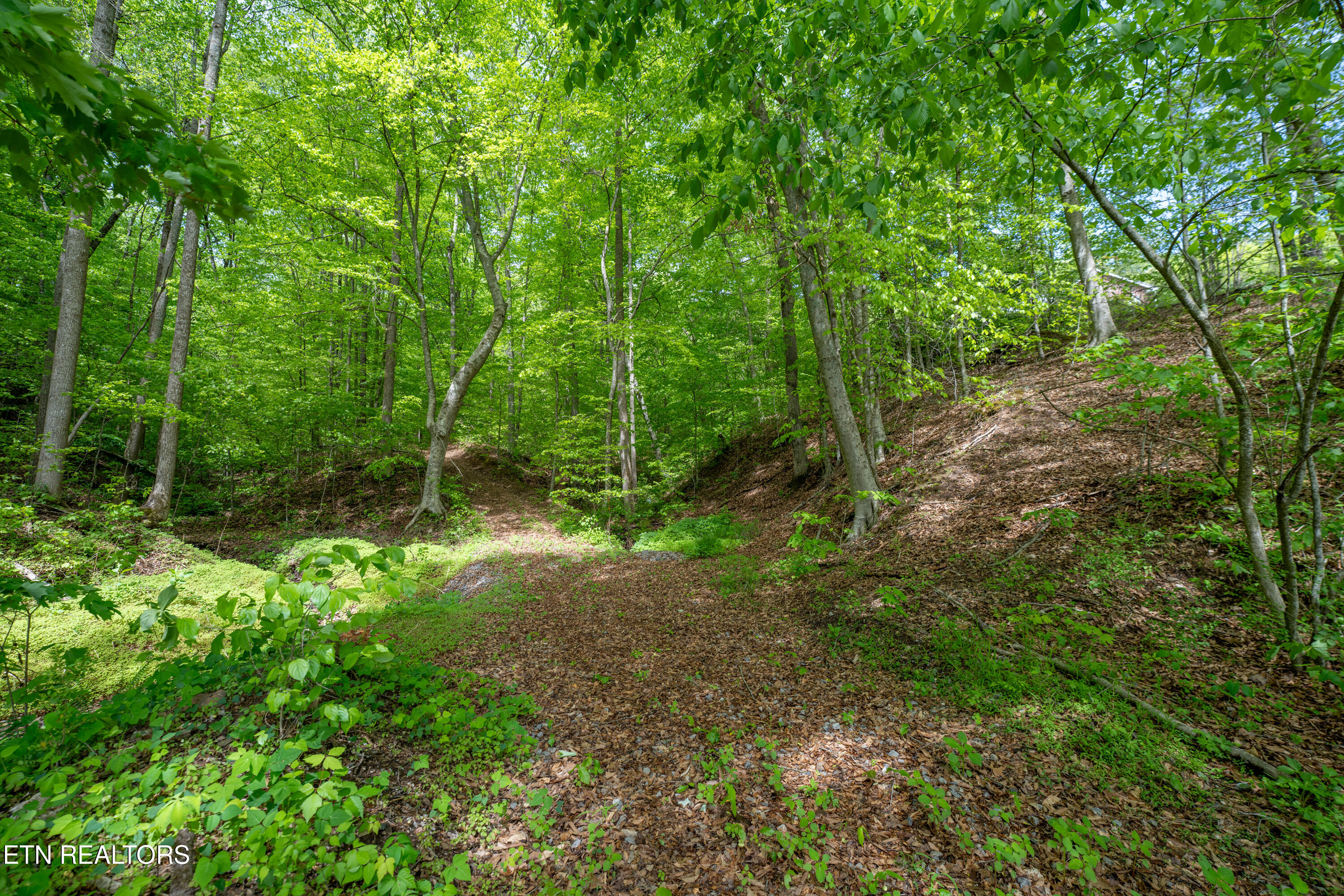 0 W Bullrun Valley Drive Heiskell TN 37754