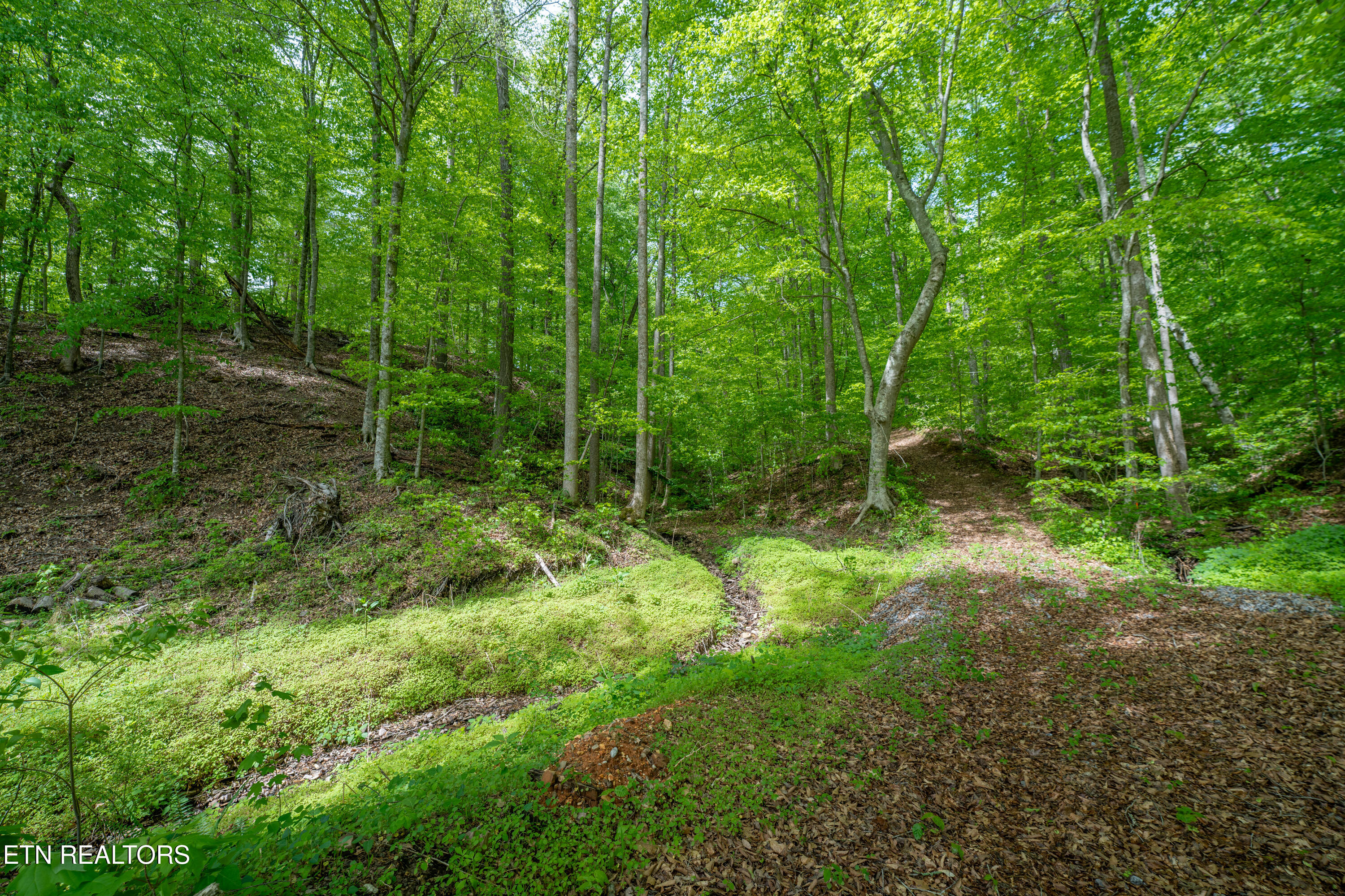 0 W Bullrun Valley Drive Heiskell TN 37754