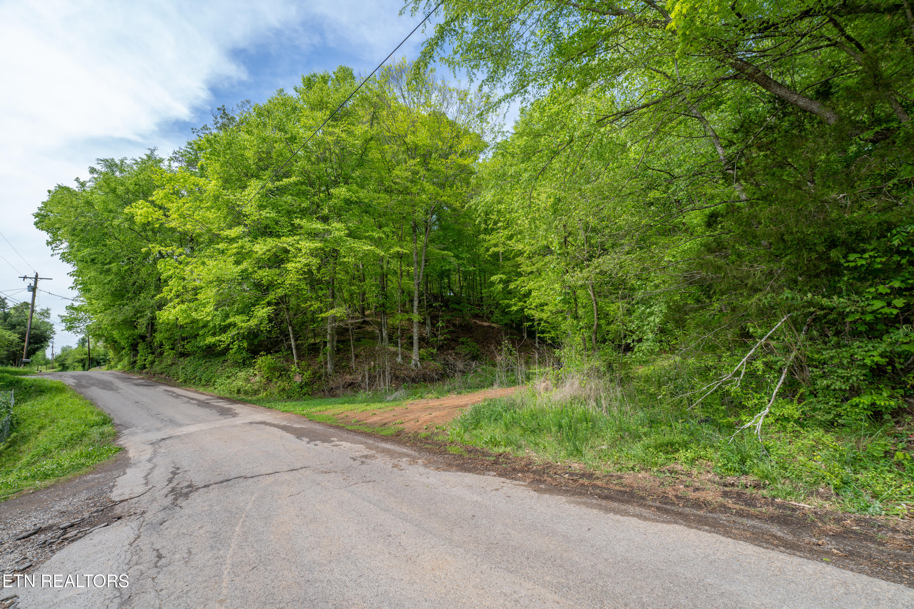 0 W Bullrun Valley Drive Heiskell TN 37754