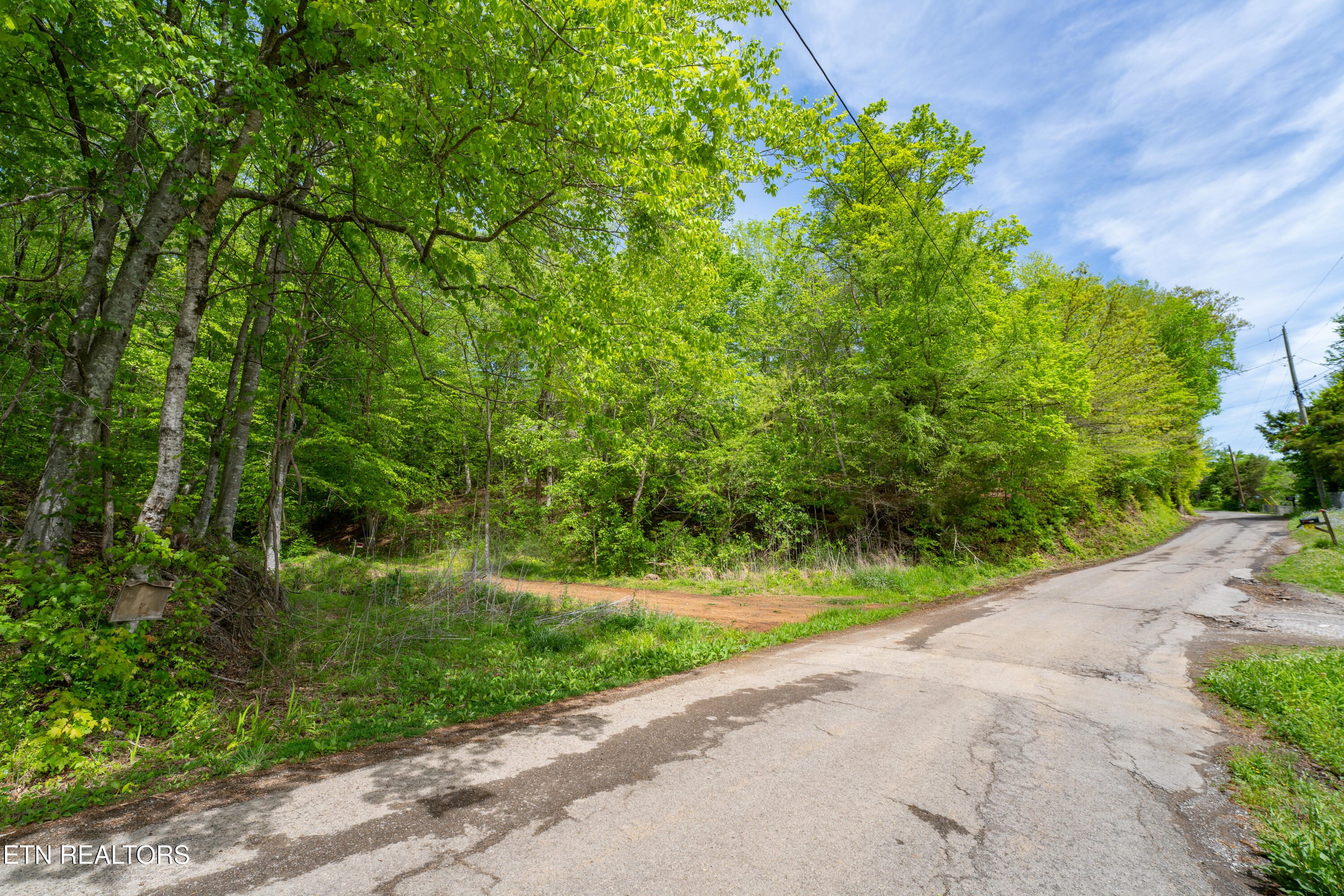 0 W Bullrun Valley Drive Heiskell TN 37754
