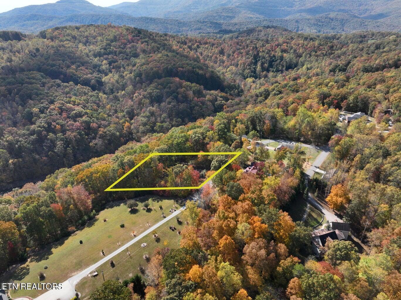 158 Cheri Lane Caryville TN 37714