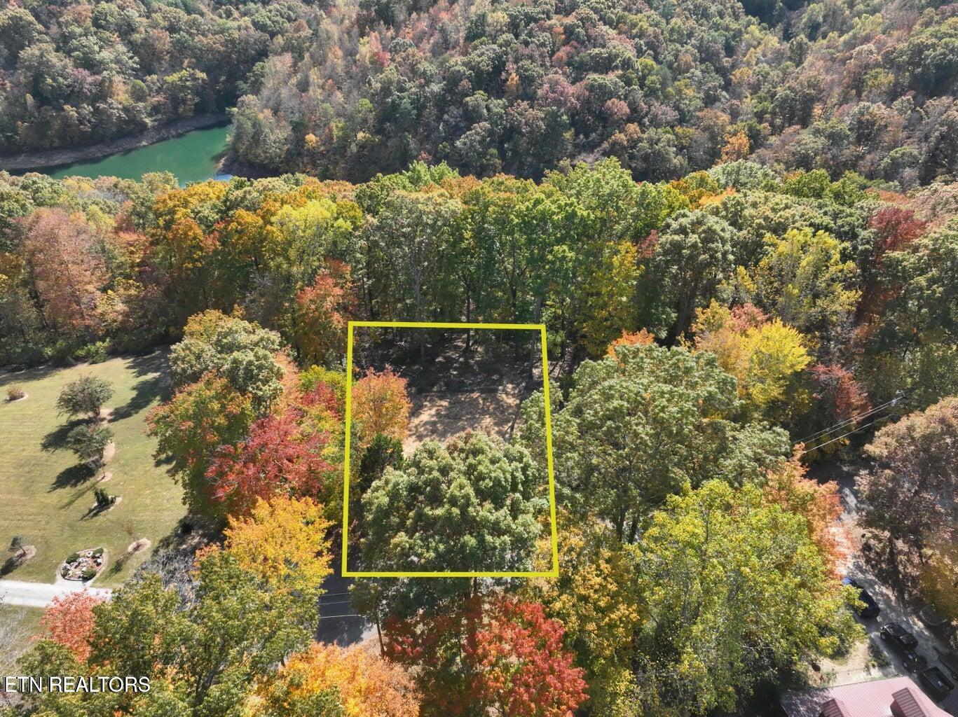 158 Cheri Lane Caryville TN 37714