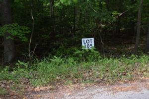 Lot 105 Treasure Tree Road Ten Mile TN 37880