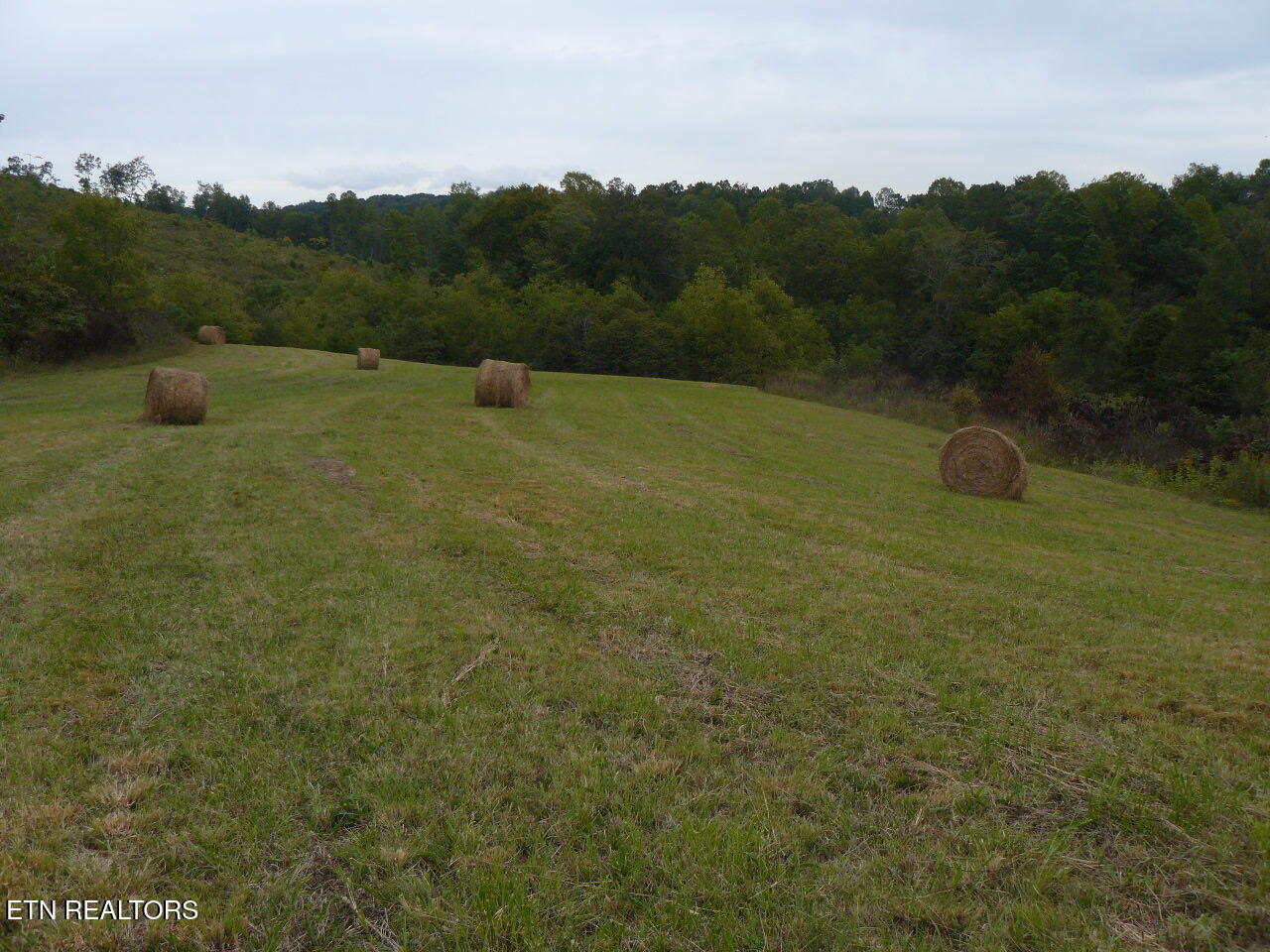 132 Acres Leabow Hollow Road Tazewell TN 37879