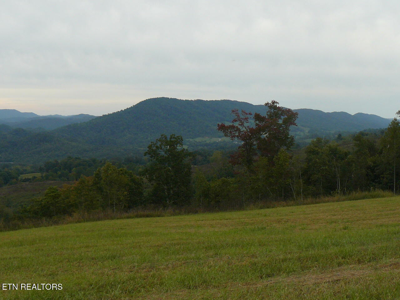 132 Acres Leabow Hollow Road Tazewell TN 37879