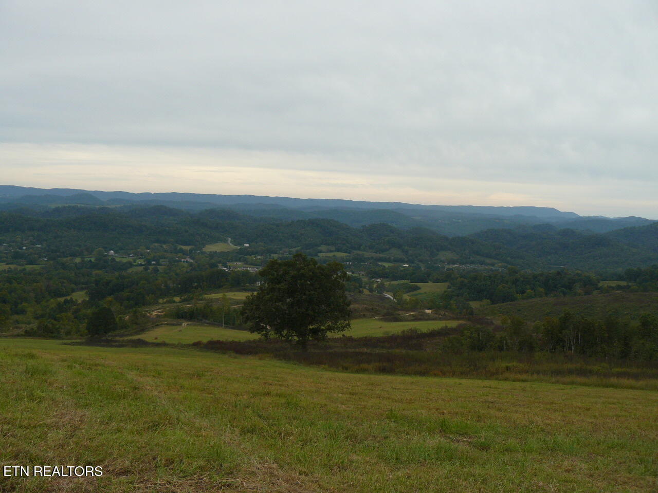 132 Acres Leabow Hollow Road Tazewell TN 37879