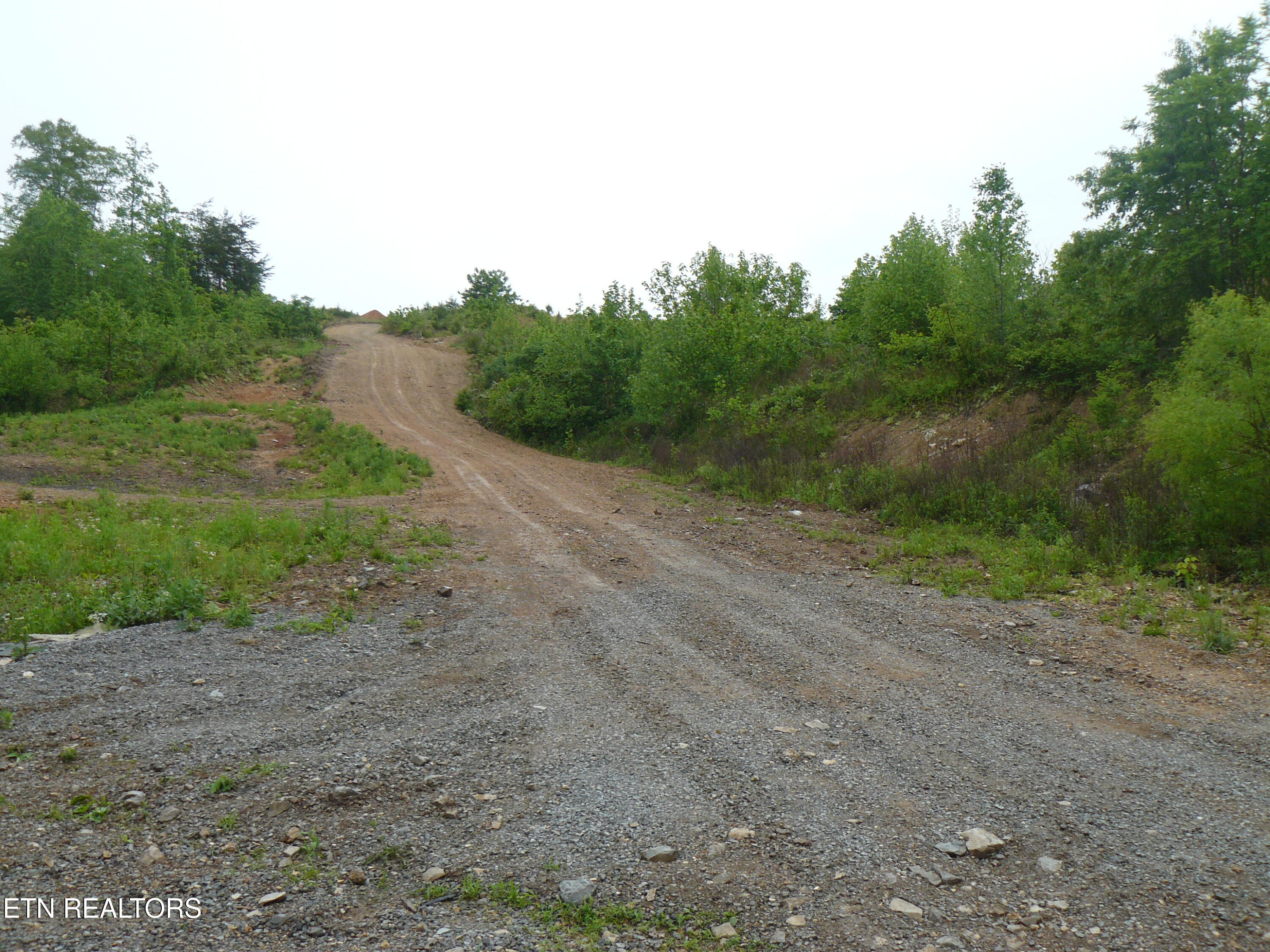 132 Acres Leabow Hollow Road Tazewell TN 37879