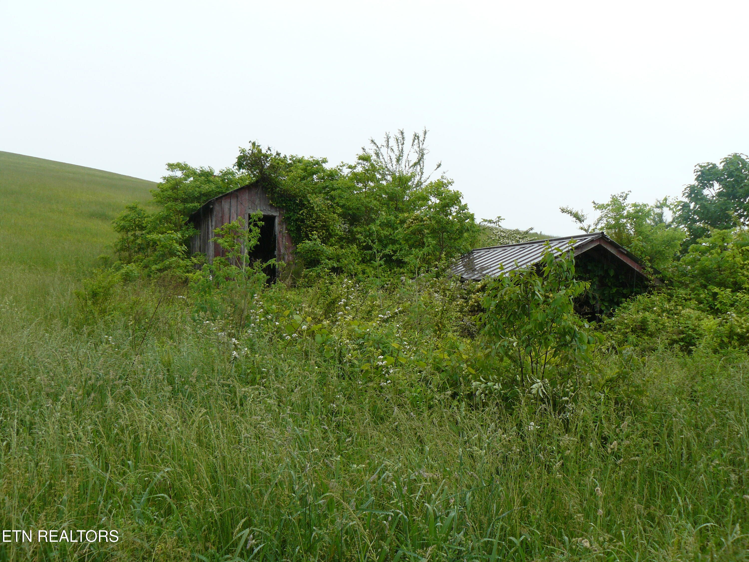 132 Acres Leabow Hollow Road Tazewell TN 37879