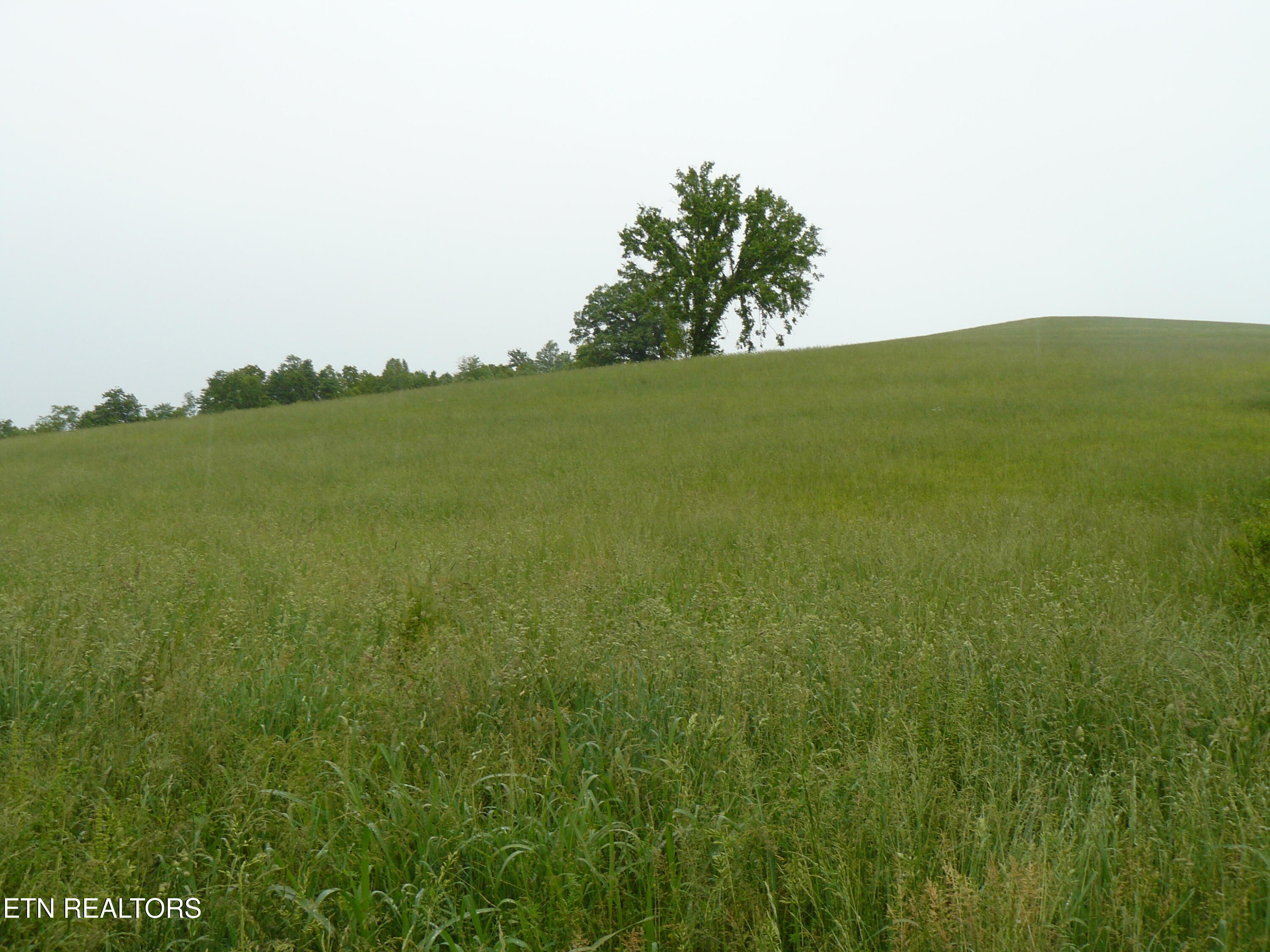 132 Acres Leabow Hollow Road Tazewell TN 37879
