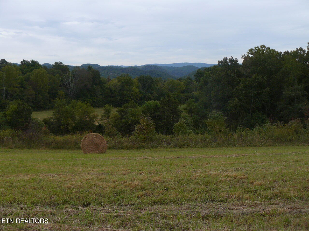 132 Acres Leabow Hollow Road Tazewell TN 37879