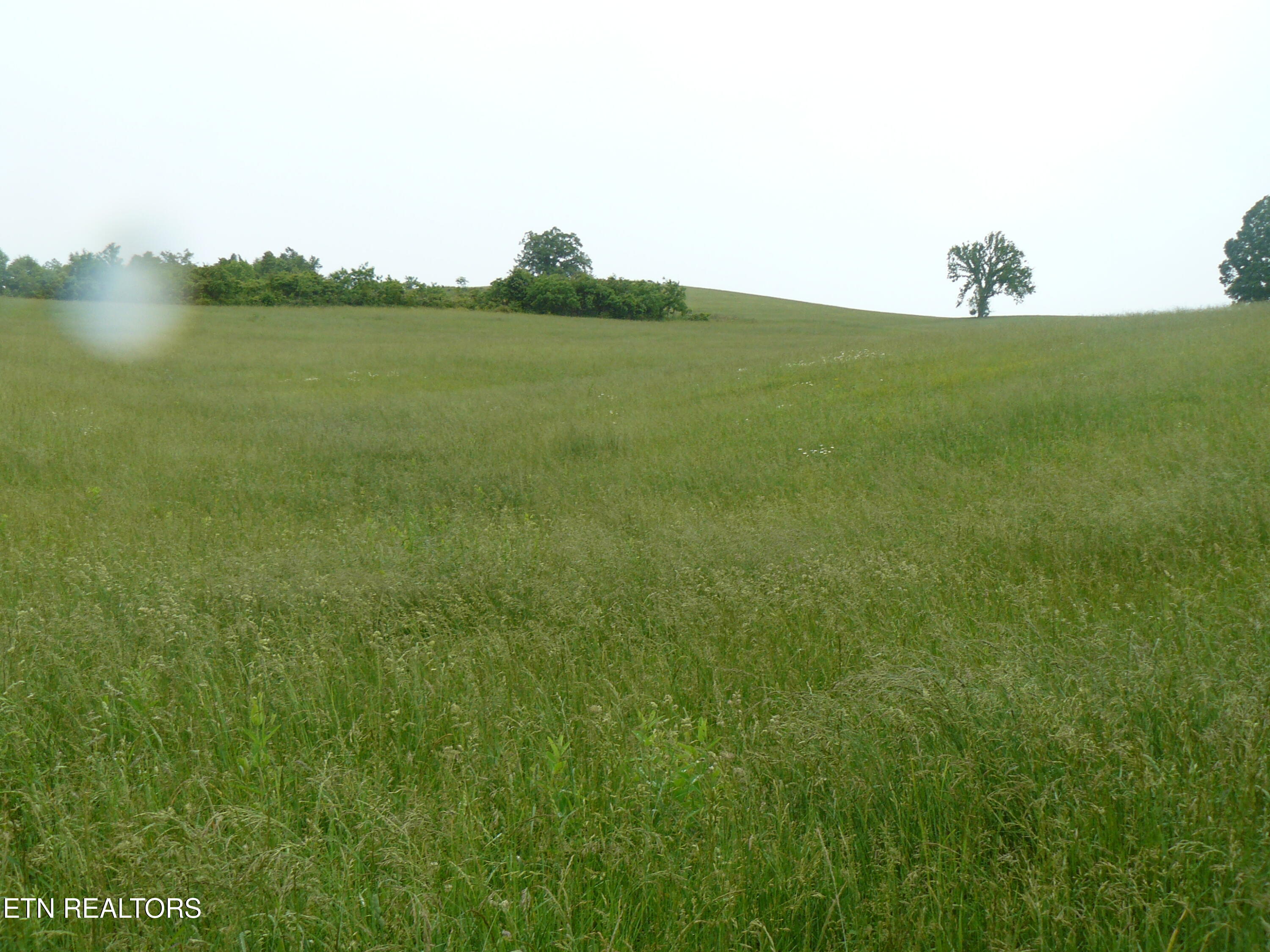 132 Acres Leabow Hollow Road Tazewell TN 37879