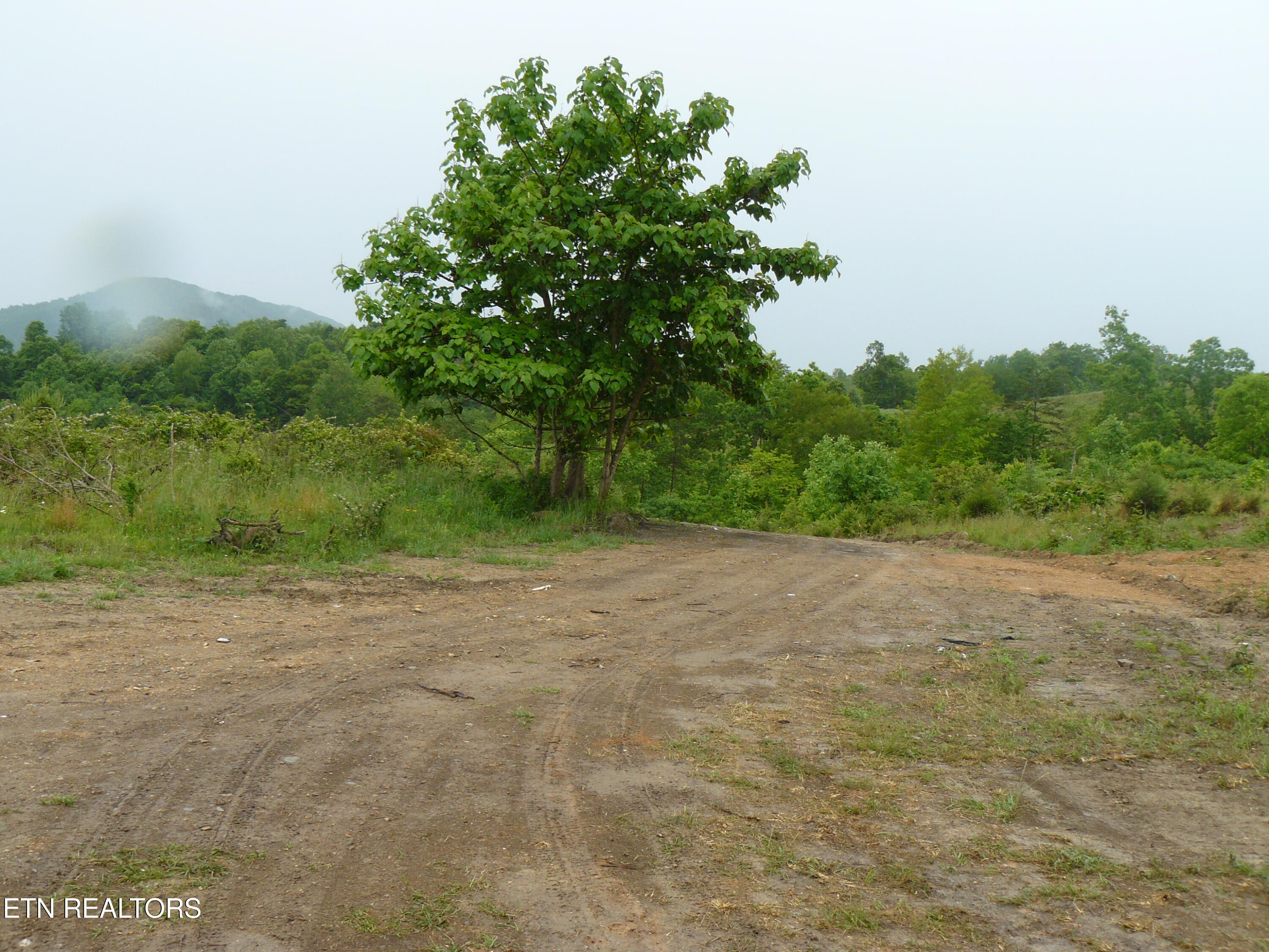 132 Acres Leabow Hollow Road Tazewell TN 37879