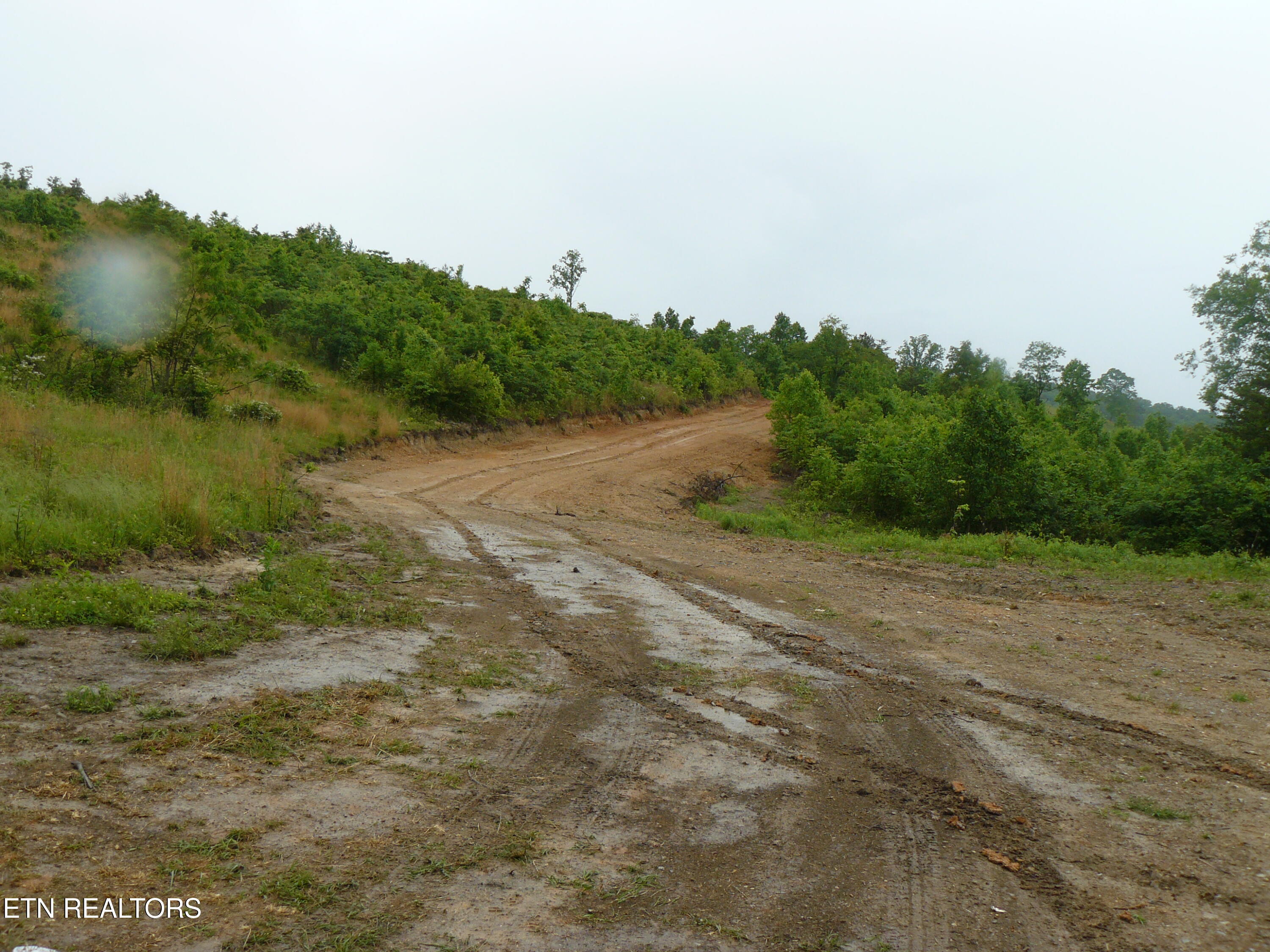 132 Acres Leabow Hollow Road Tazewell TN 37879