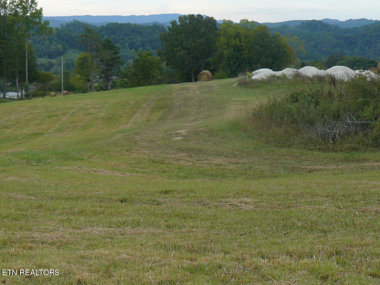 132 Acres Leabow Hollow Road Tazewell TN 37879