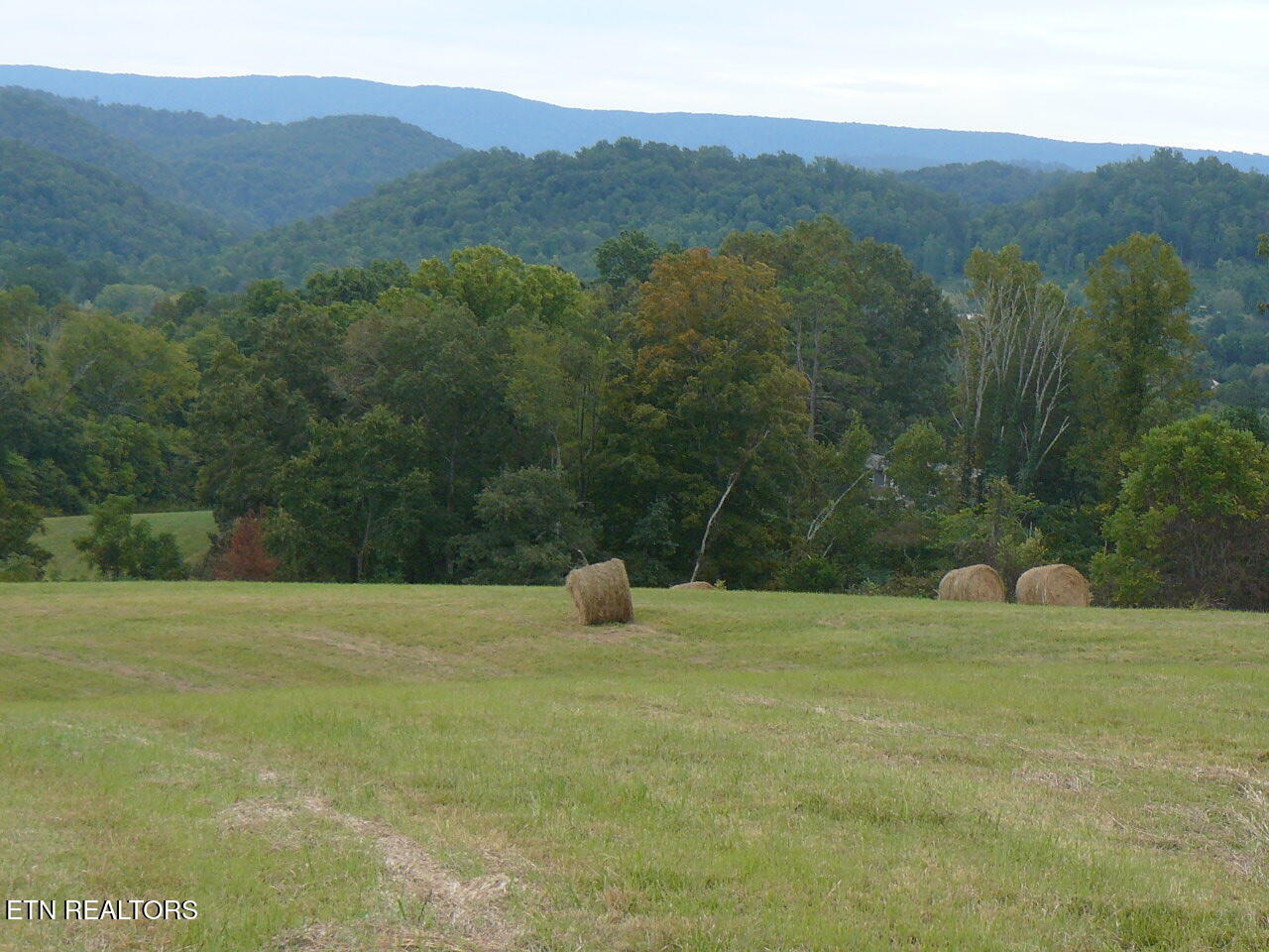 132 Acres Leabow Hollow Road Tazewell TN 37879