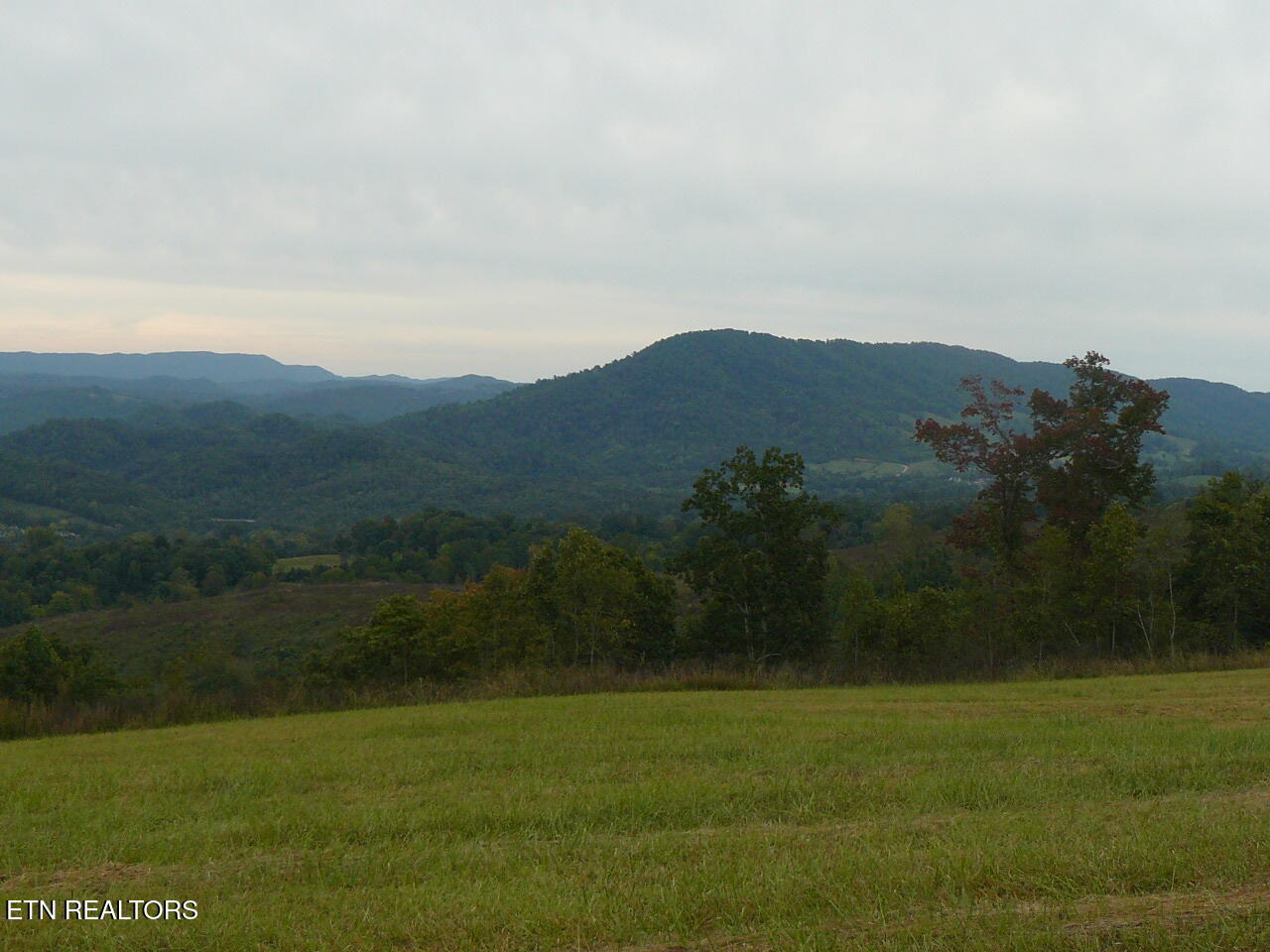 132 Acres Leabow Hollow Road Tazewell TN 37879