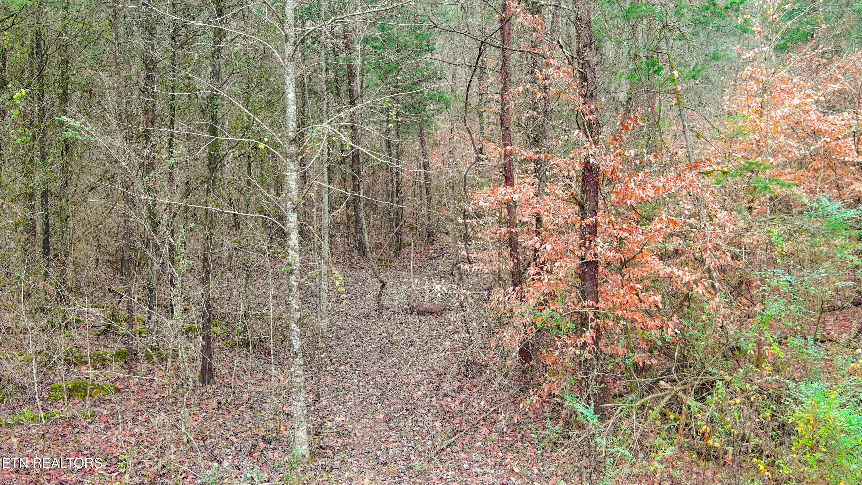Stormer Road Knoxville TN 37918
