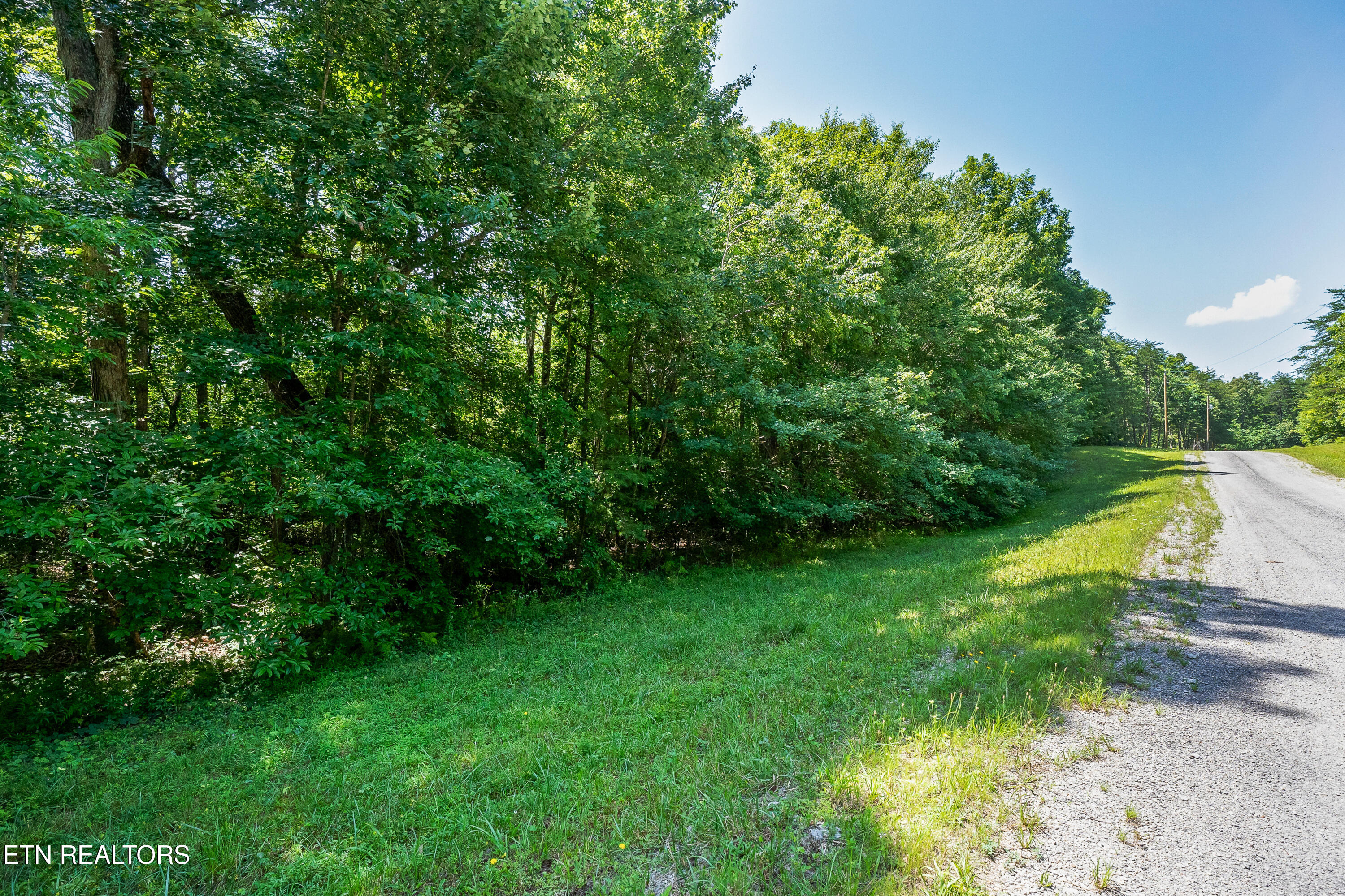 Parkview Drive Monterey TN 38574