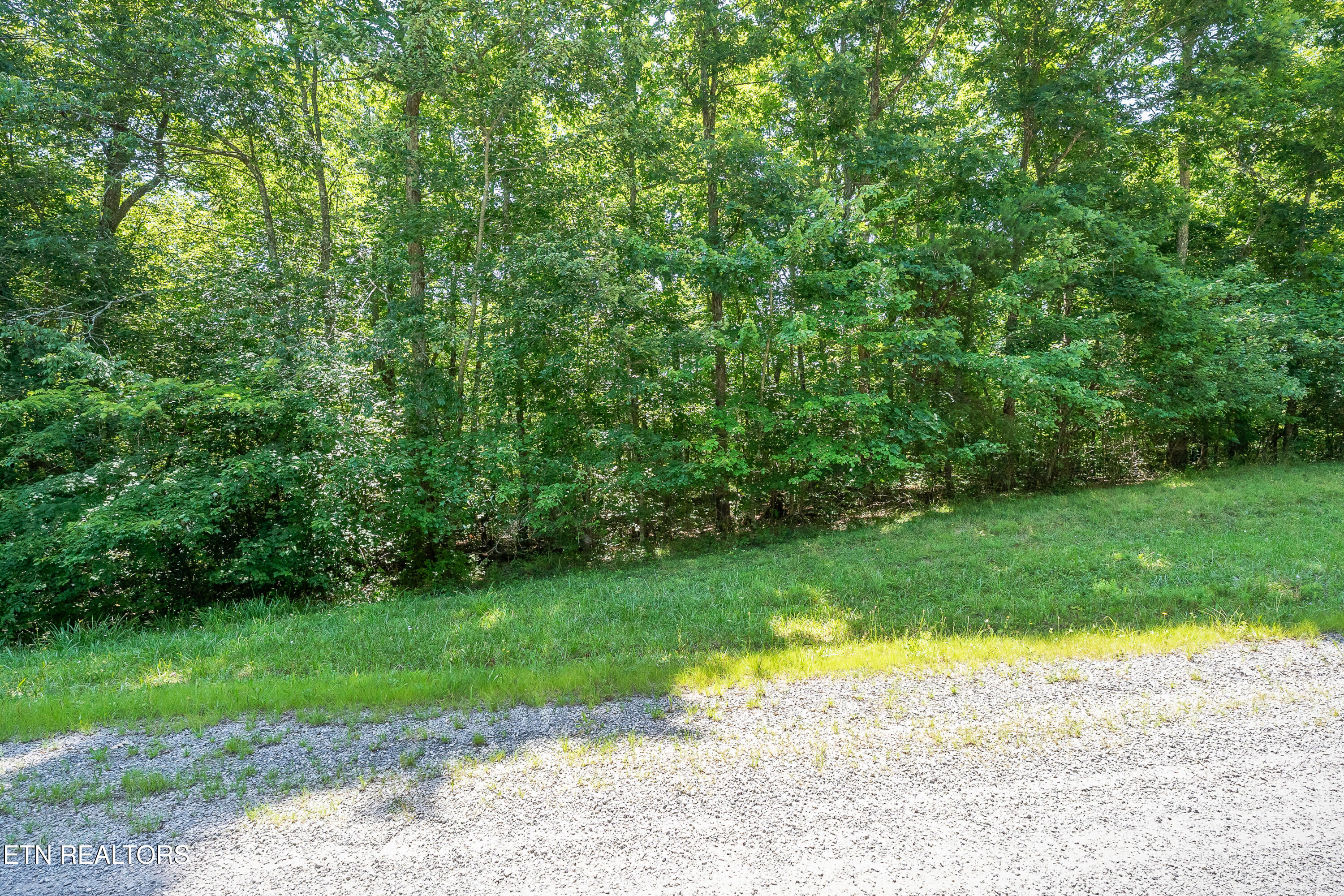 Parkview Drive Monterey TN 38574
